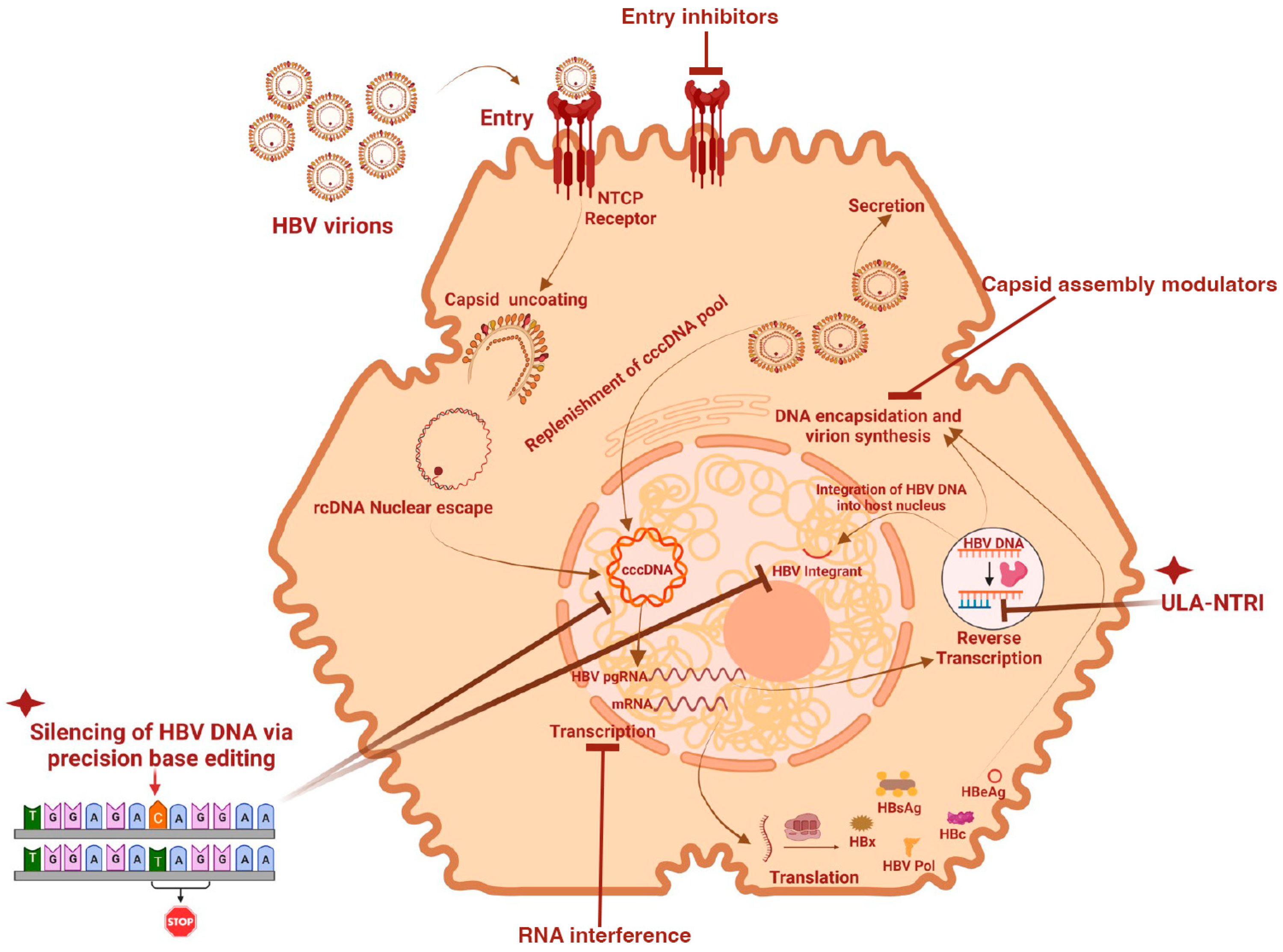 Biomolecules 13 01208 g002 Biomolecules 13 01208 g002