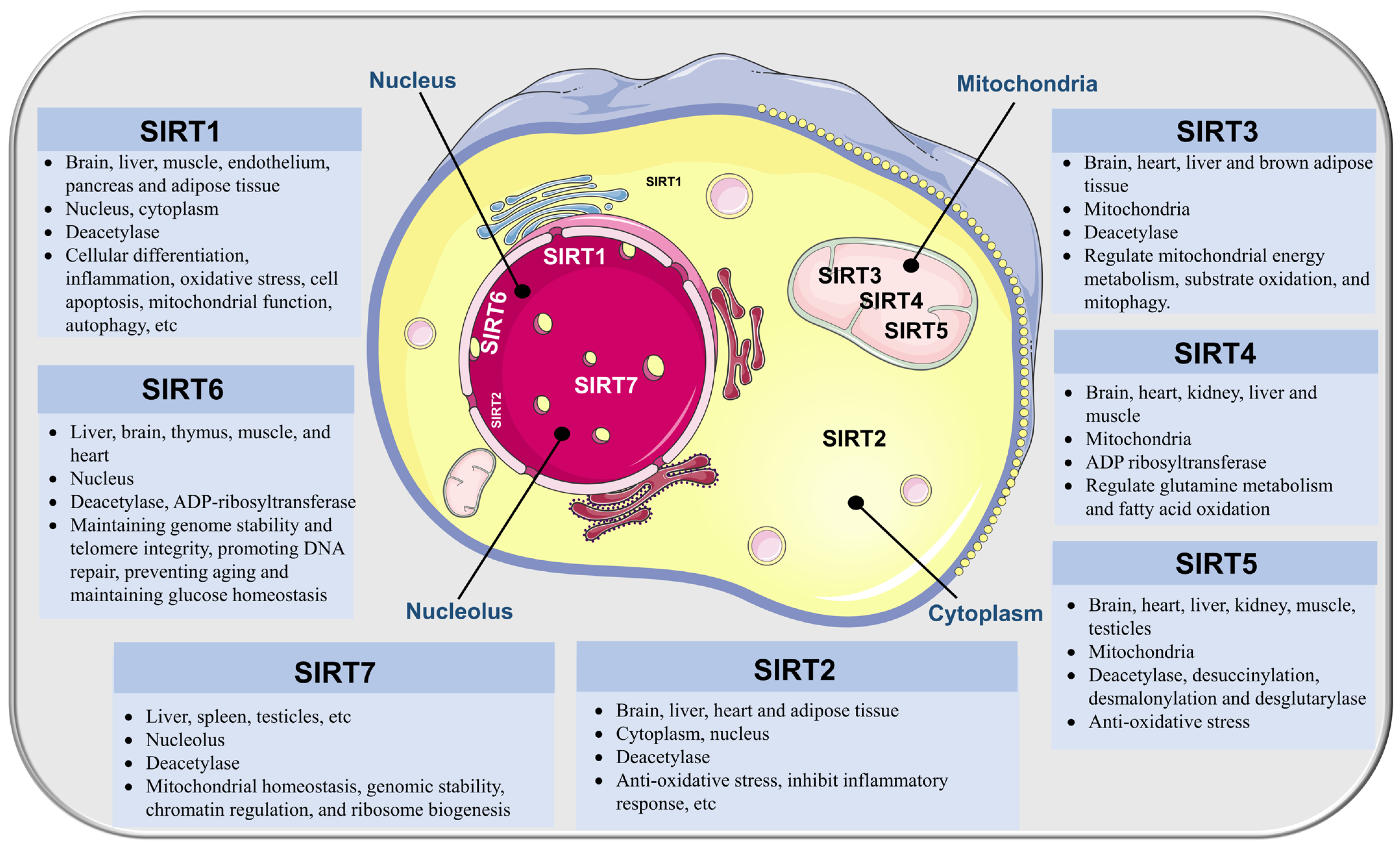Biomolecules 13 01210 g001 Biomolecules 13 01210 g001
