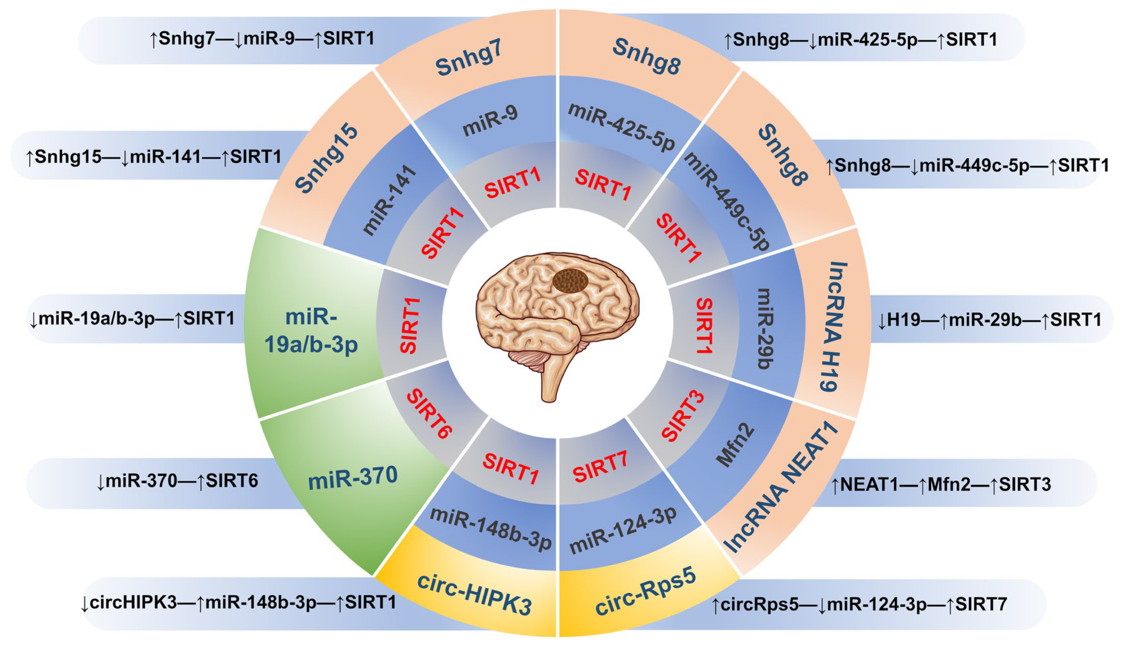 Biomolecules 13 01210 g003 Biomolecules 13 01210 g003