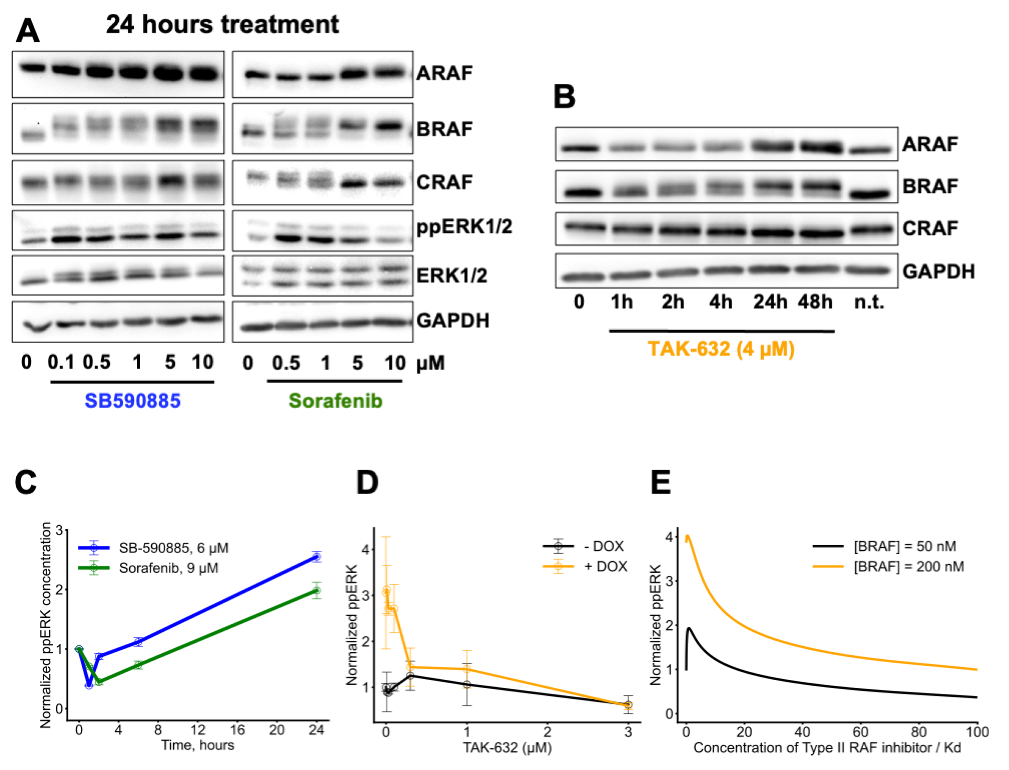 Biomolecules 13 01212 g002 Biomolecules 13 01212 g002