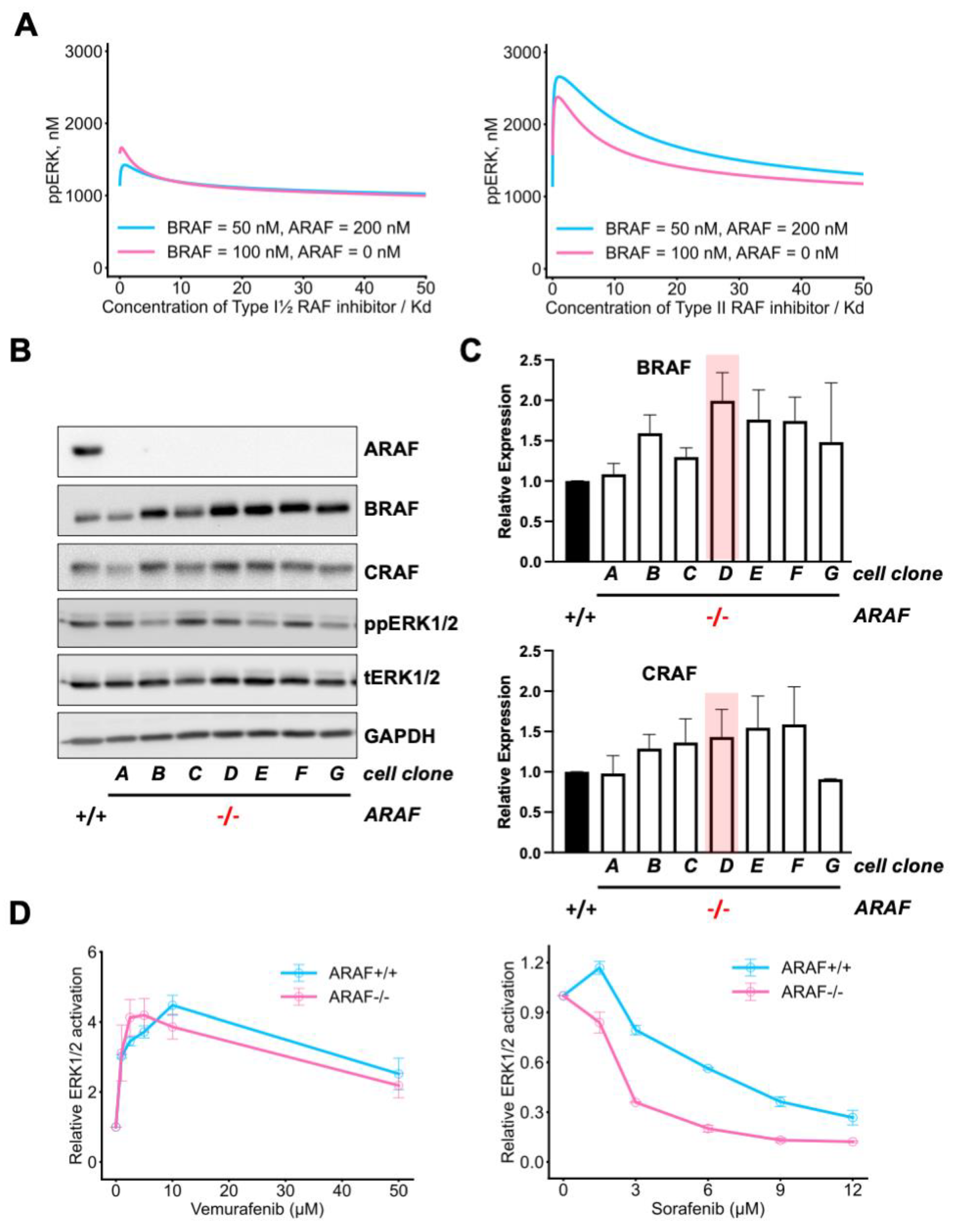 Biomolecules 13 01212 g004 Biomolecules 13 01212 g004