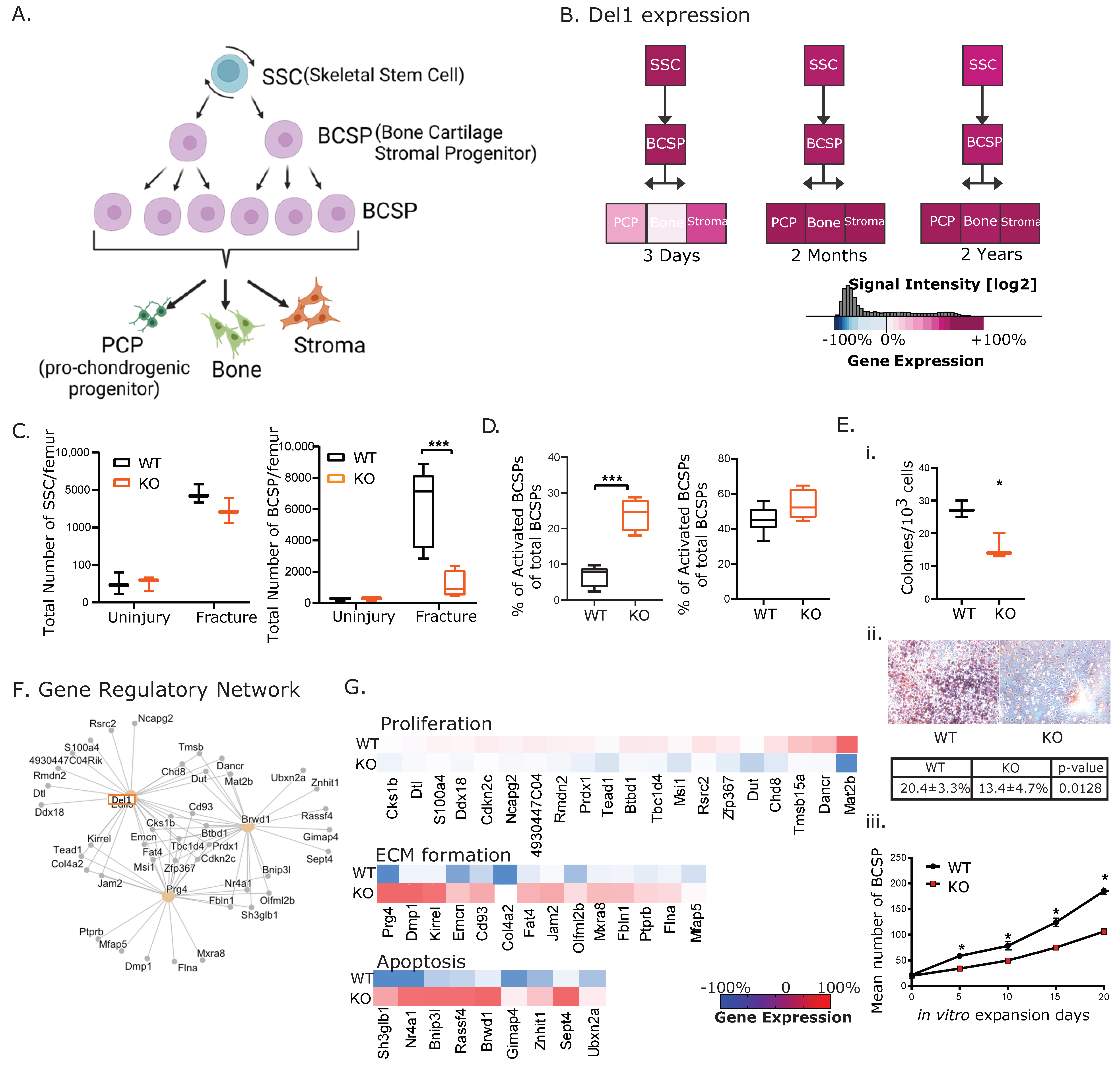 Biomolecules 13 01214 g002 Biomolecules 13 01214 g002