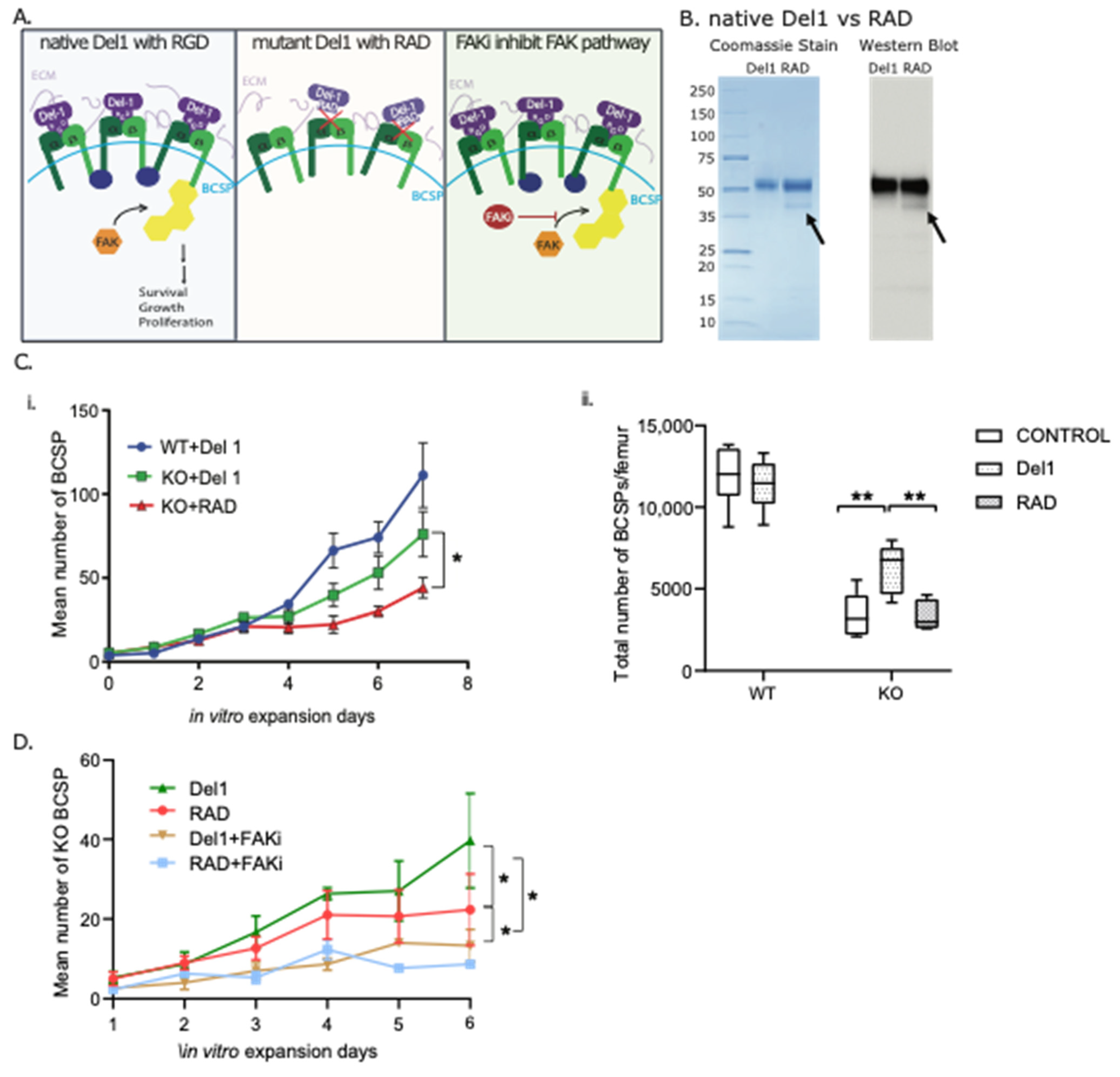 Biomolecules 13 01214 g003 Biomolecules 13 01214 g003