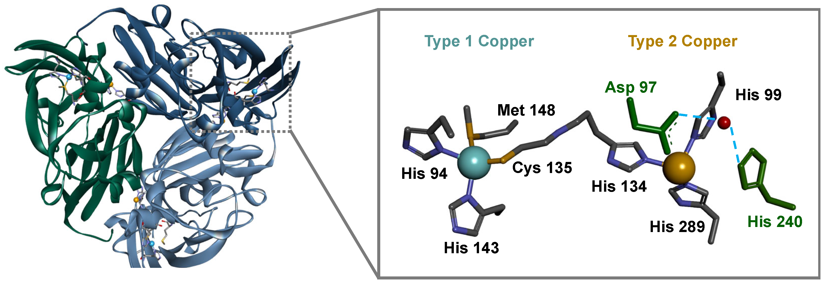 Biomolecules 13 01215 g001 Biomolecules 13 01215 g001