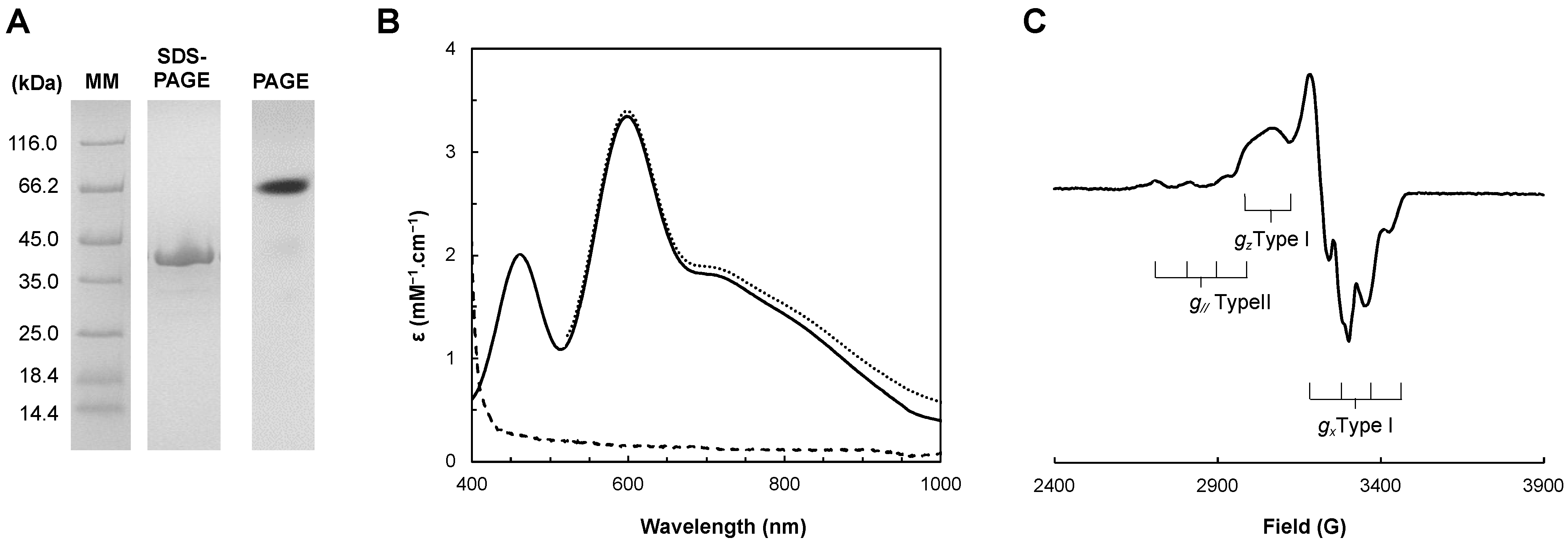 Biomolecules 13 01215 g002 Biomolecules 13 01215 g002