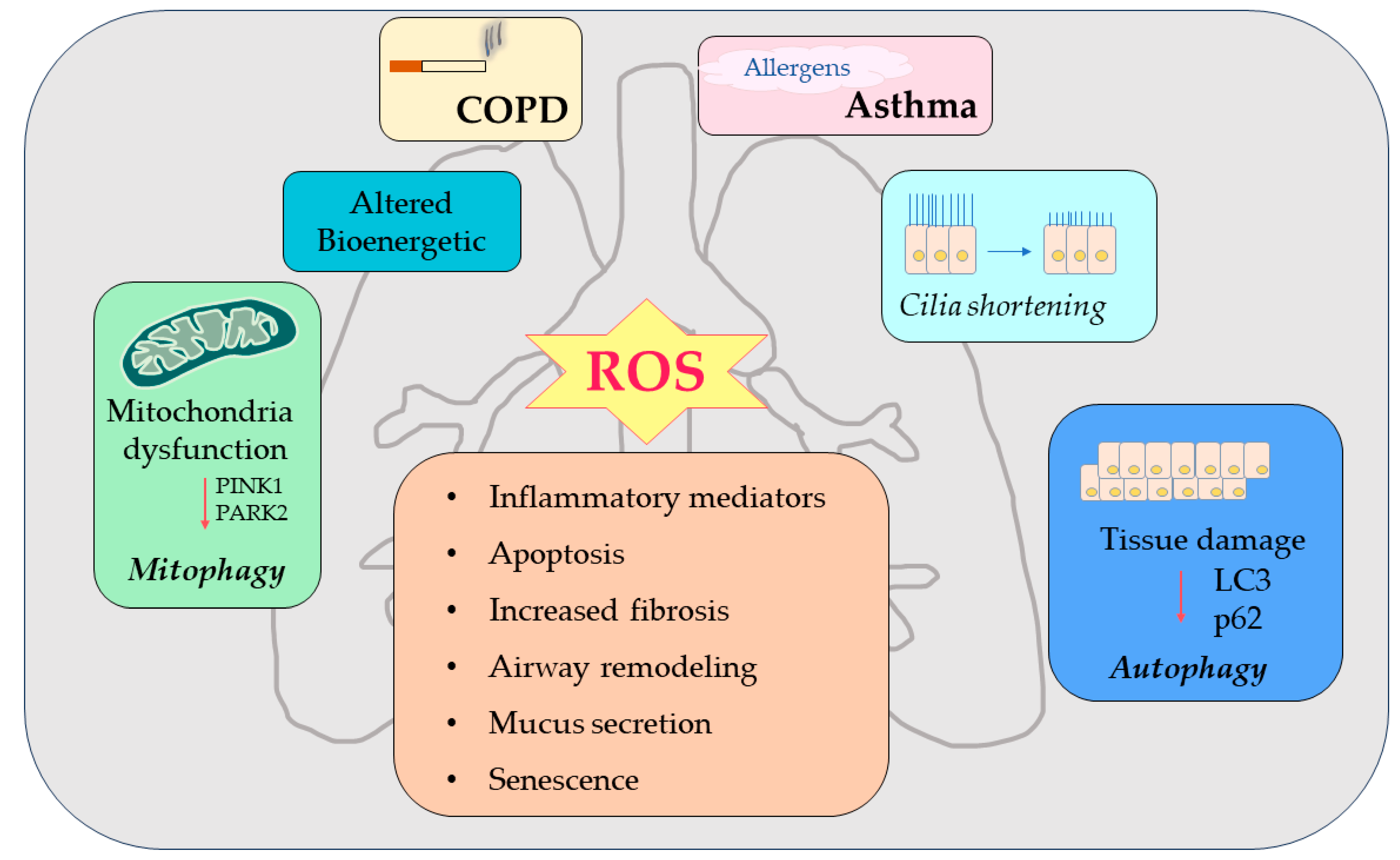 Biomolecules 13 01217 g004 Biomolecules 13 01217 g004