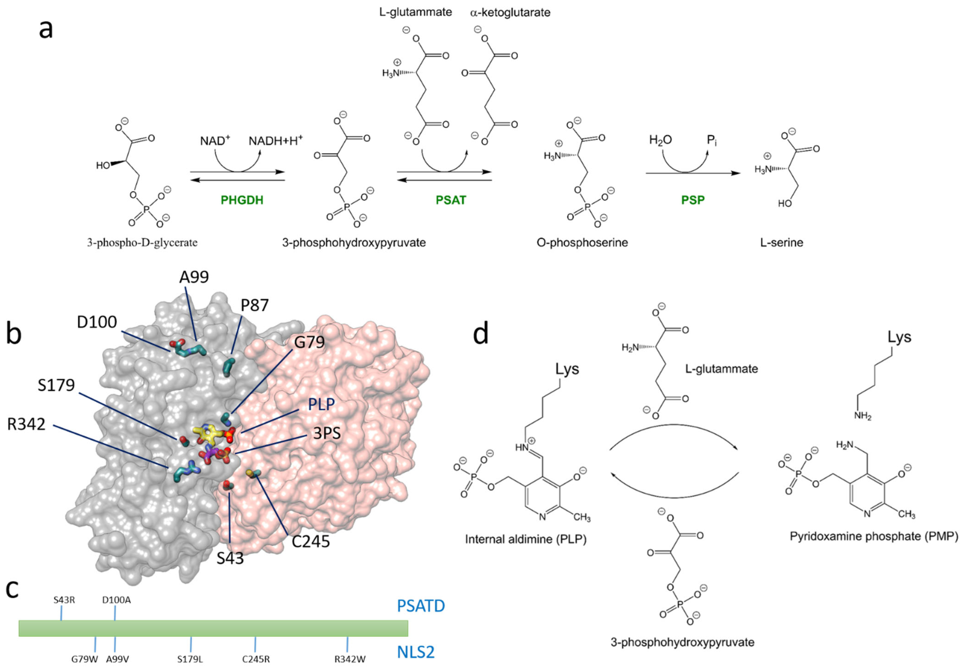 Biomolecules 13 01219 g001 Biomolecules 13 01219 g001