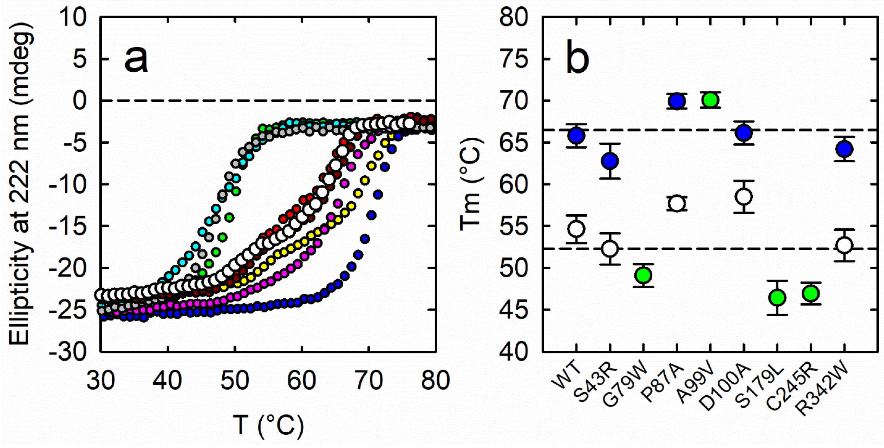Biomolecules 13 01219 g003 Biomolecules 13 01219 g003