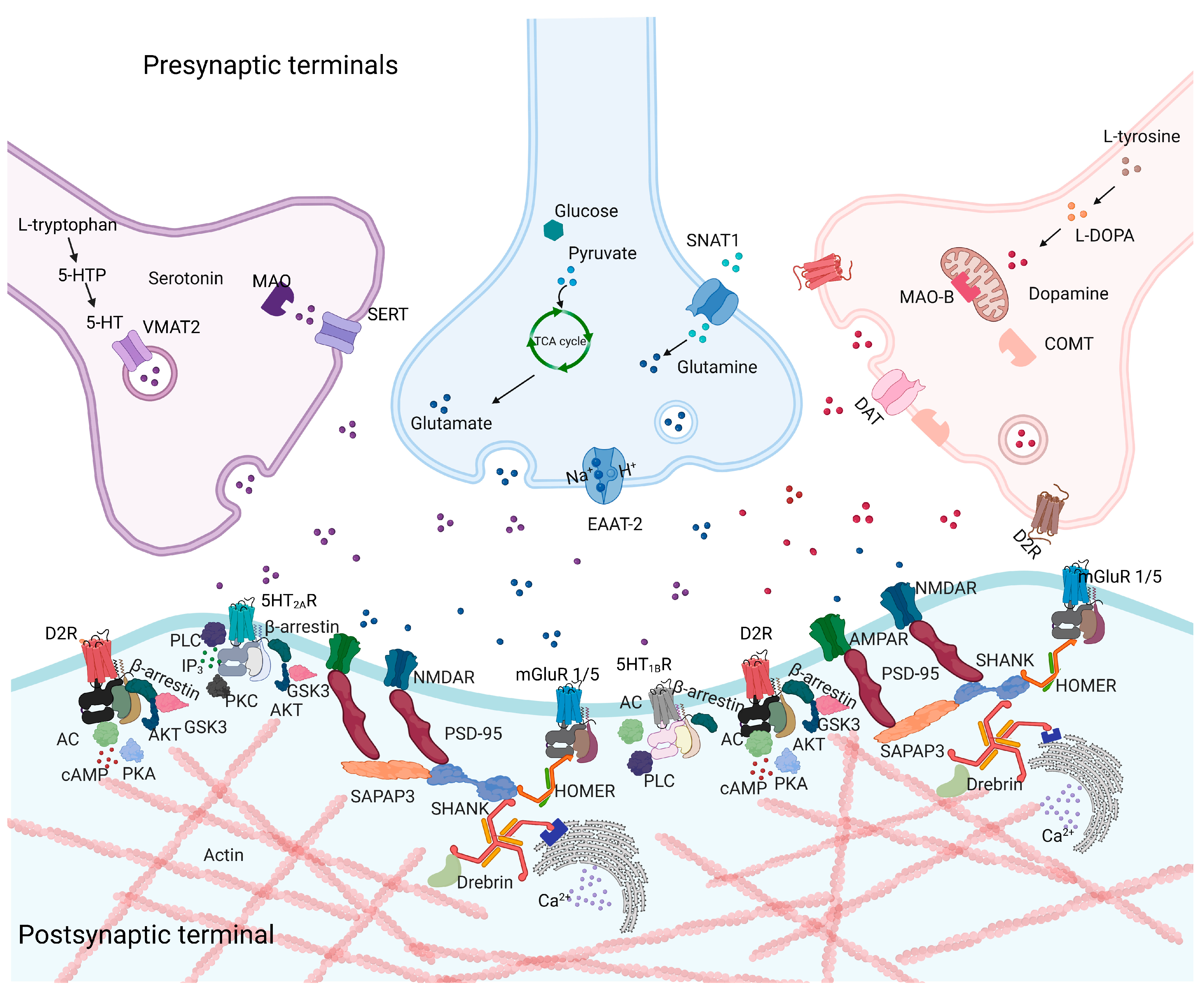 Biomolecules 13 01220 g001