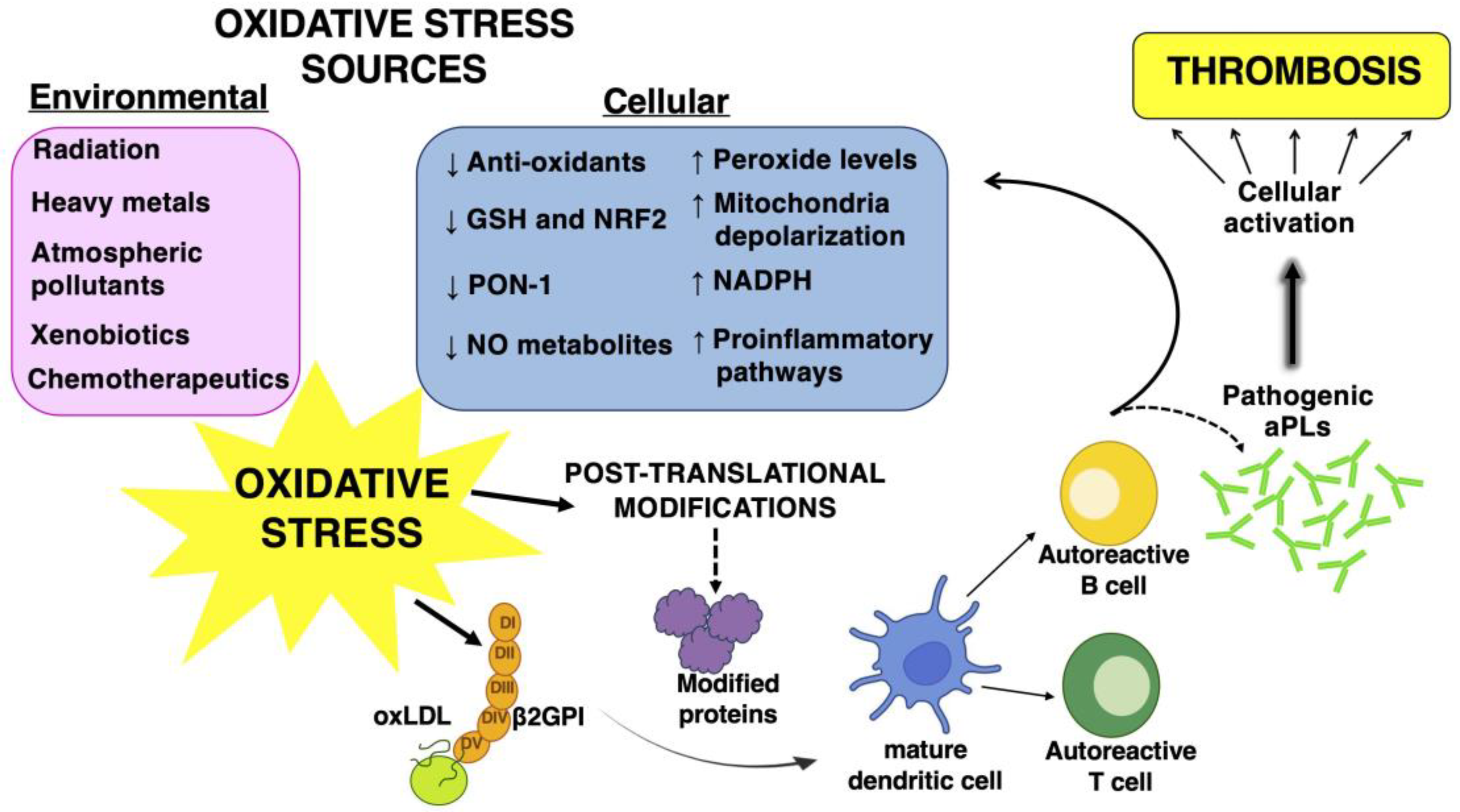 Biomolecules 13 01221 g001