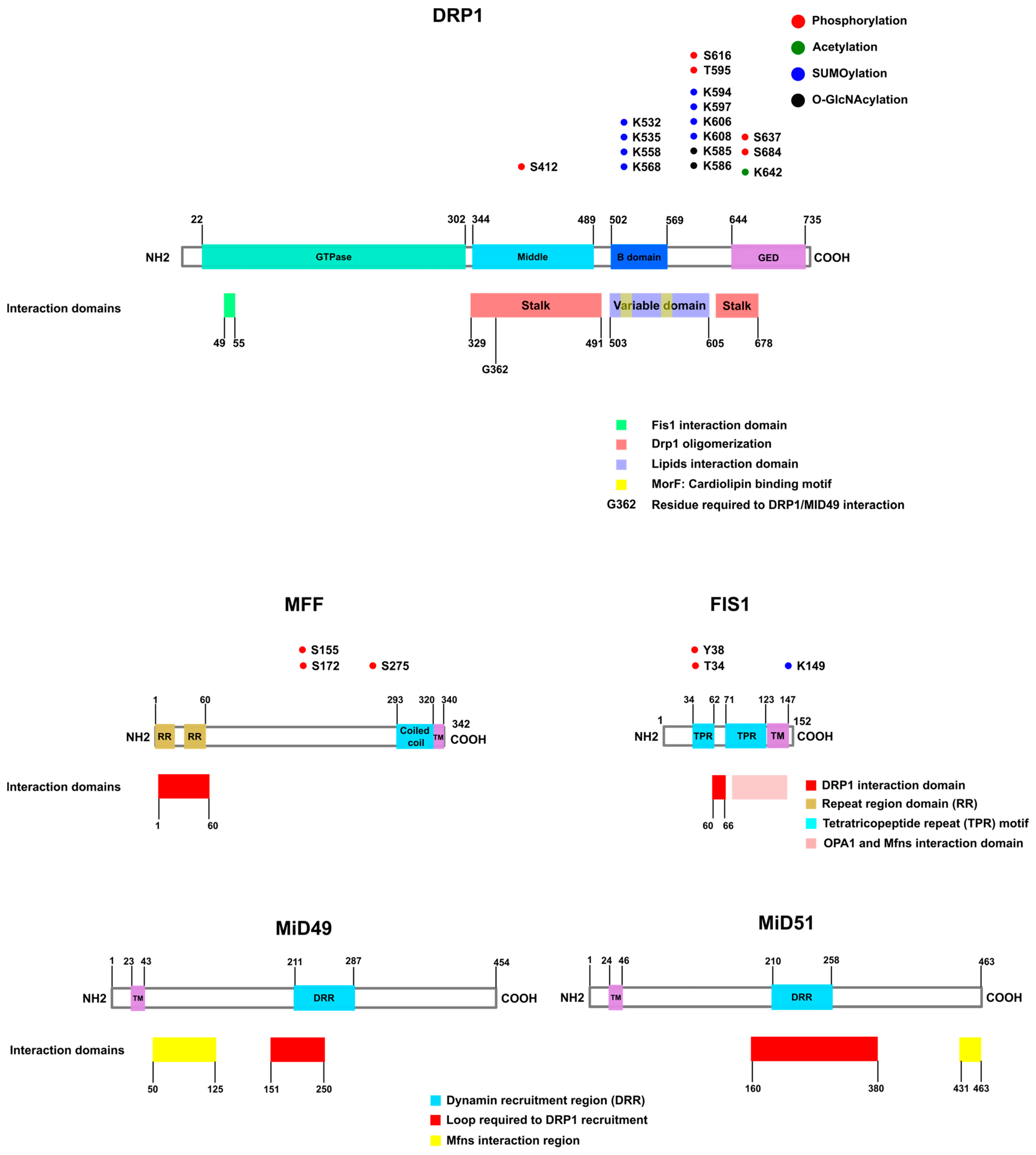 Biomolecules 13 01225 g002