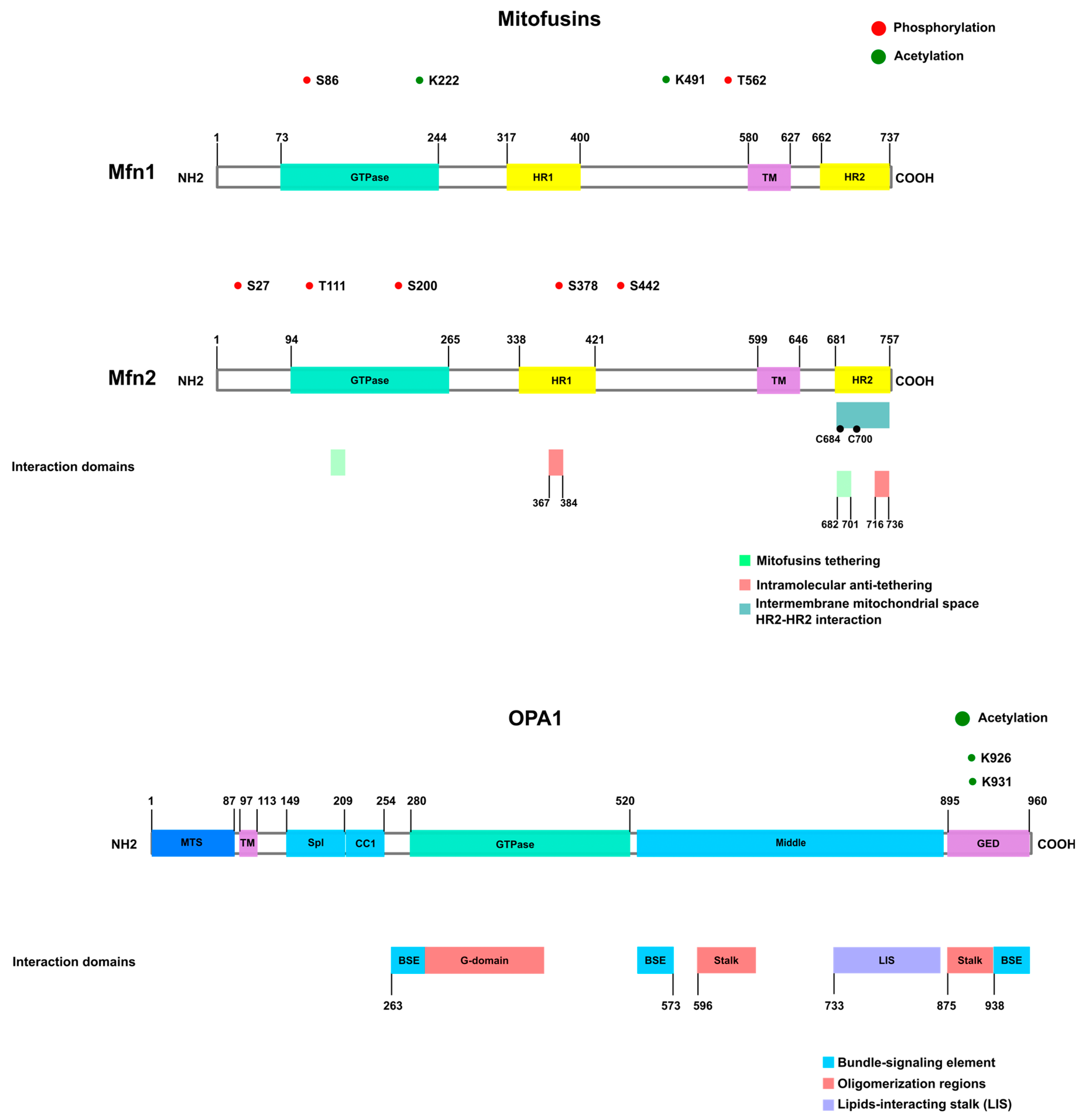 Biomolecules 13 01225 g003