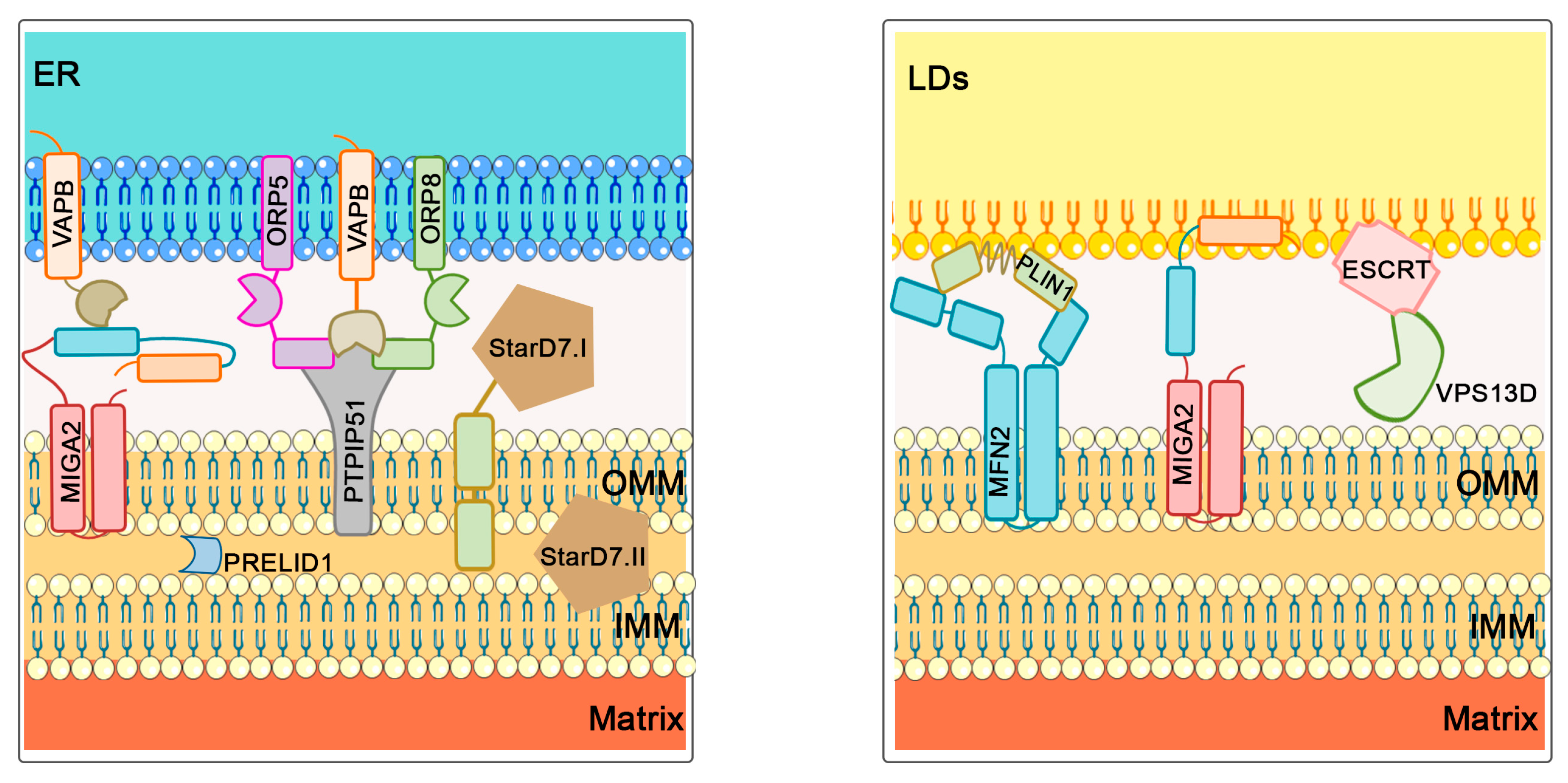 Biomolecules 13 01225 g004