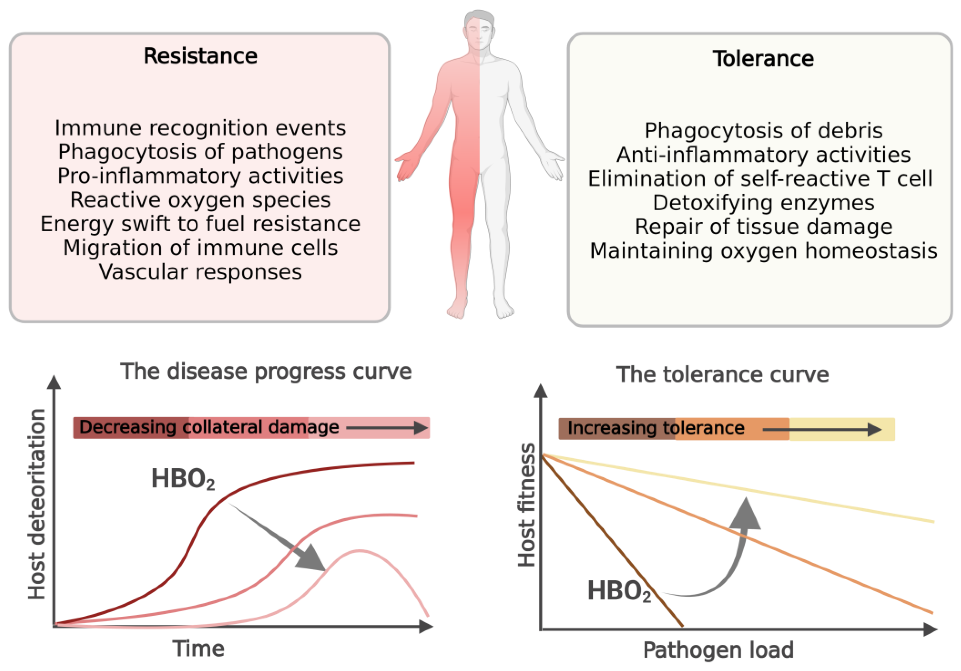 The Mechanisms of Action of Hyperbaric Oxygen in Restoring Host Homeostasis  during Sepsis