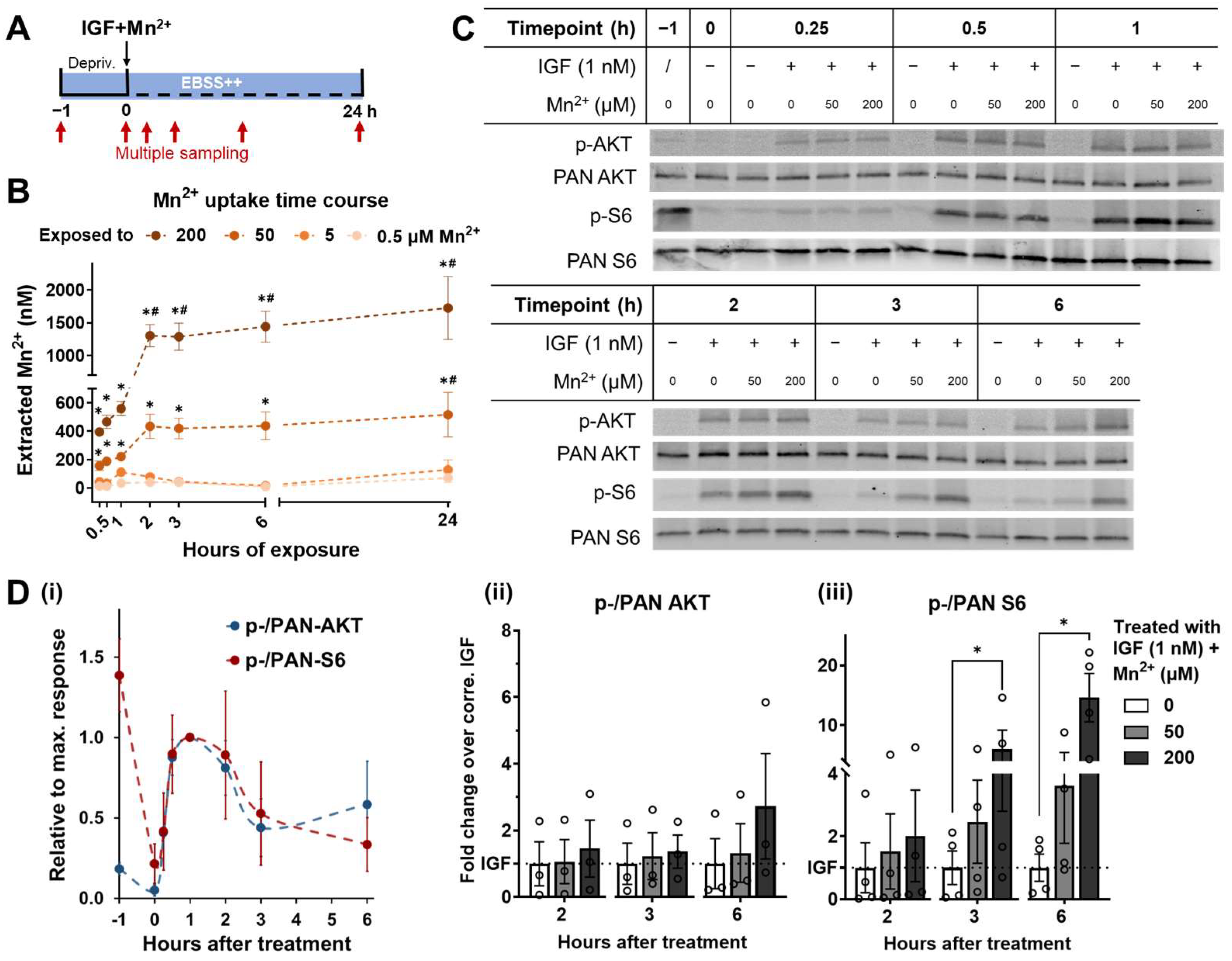 Biomolecules 13 01229 g003