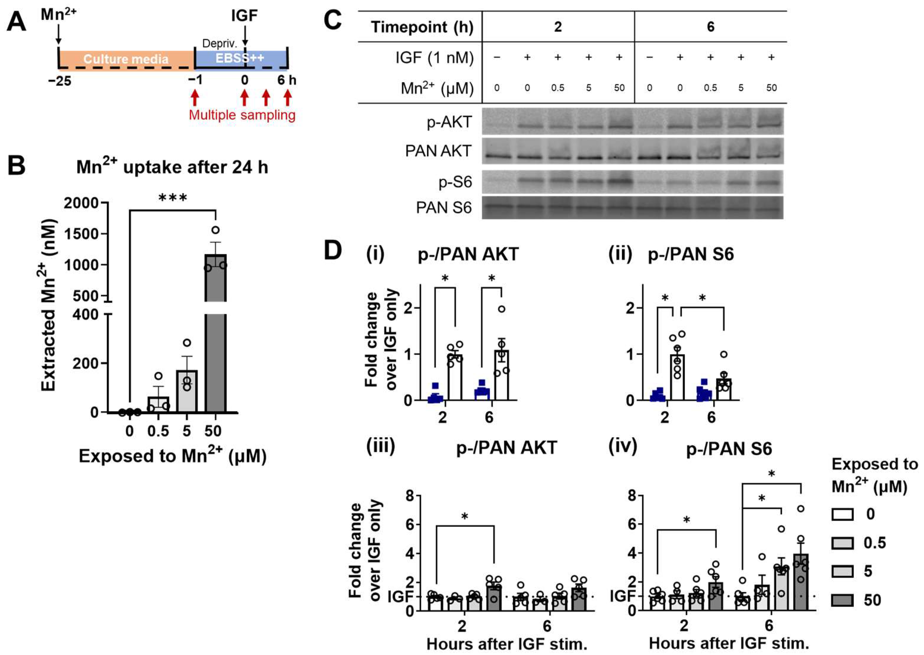 Biomolecules 13 01229 g004