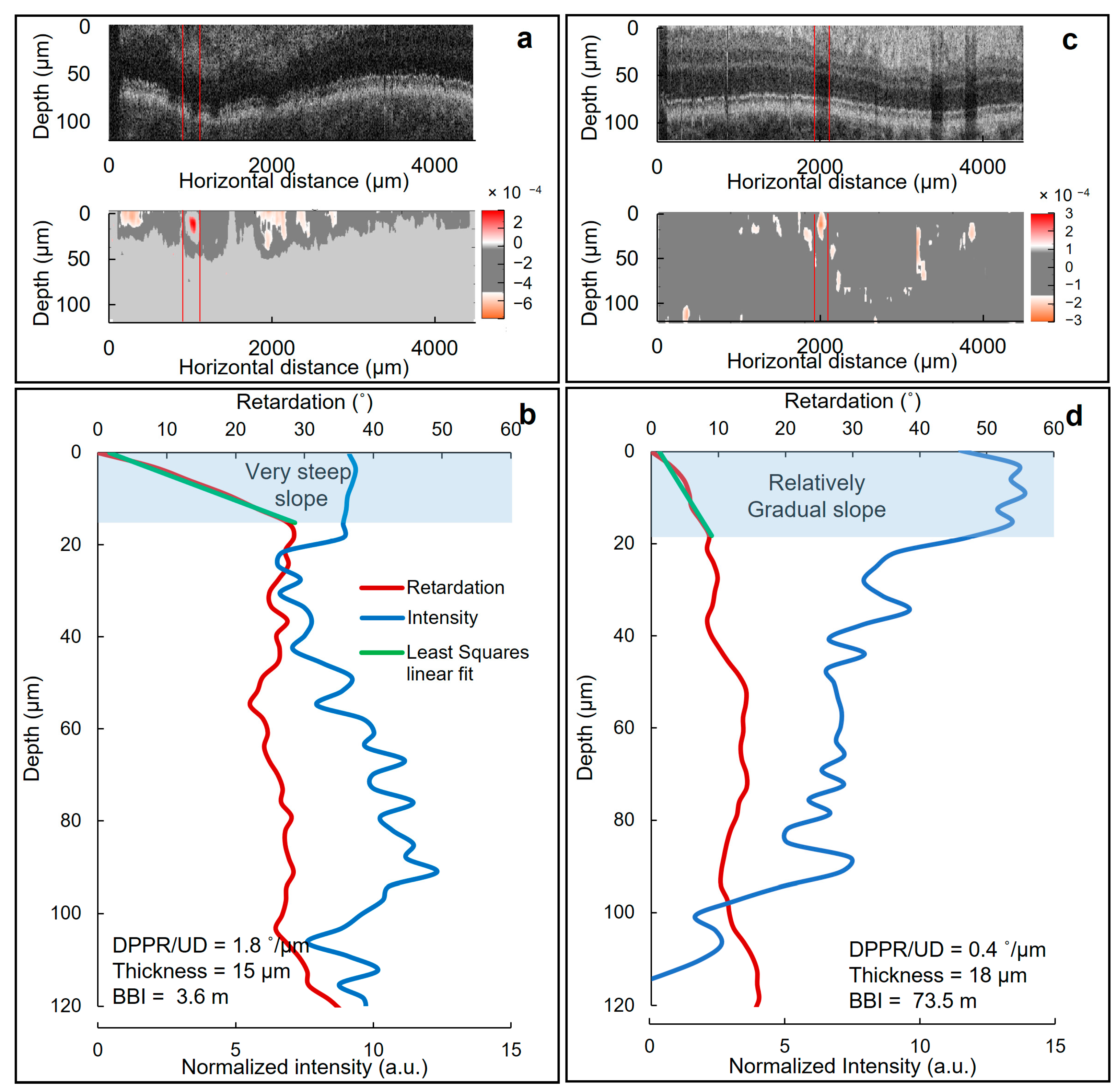 Biomolecules 13 01230 g005 Biomolecules 13 01230 g005