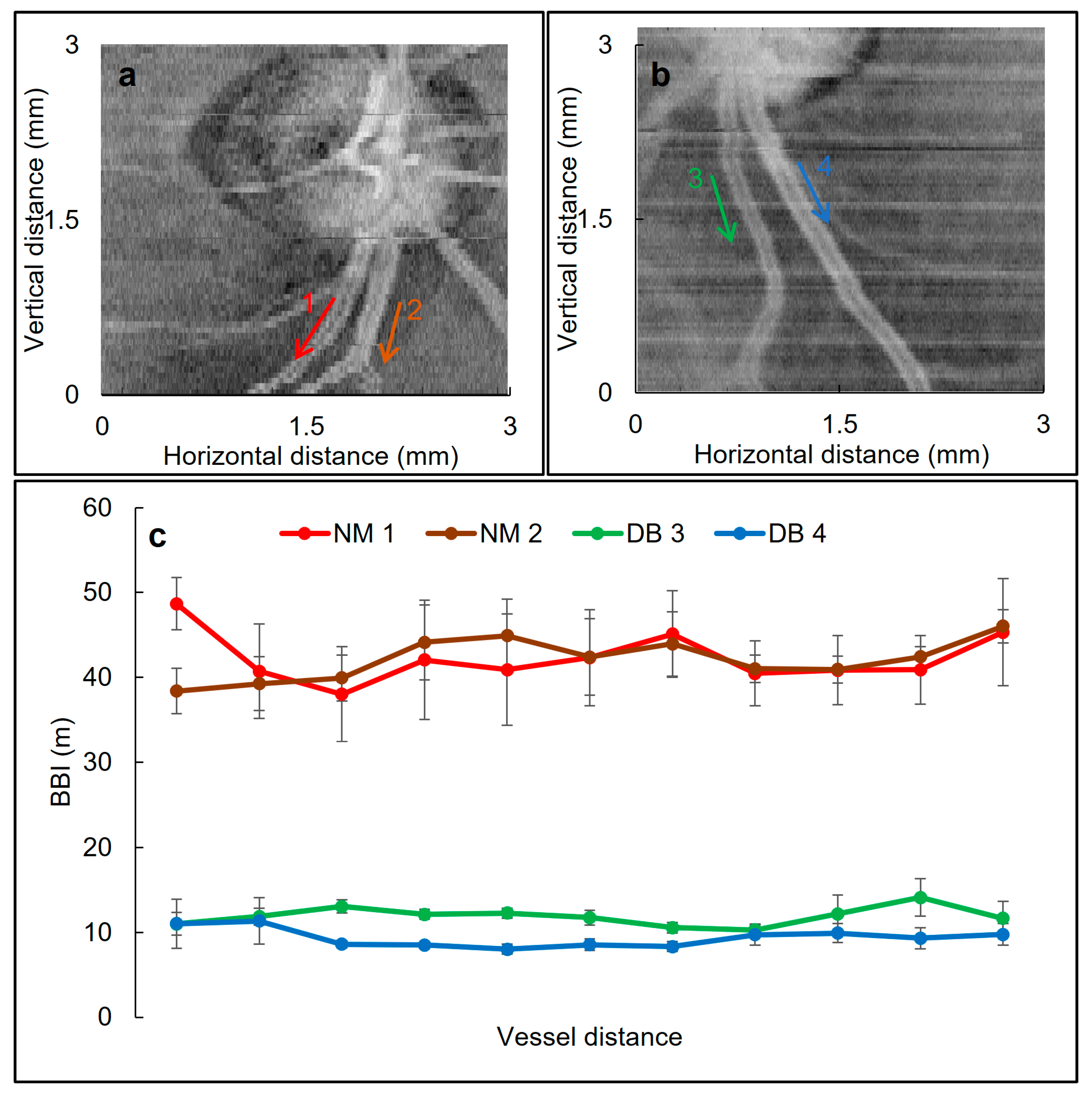 Biomolecules 13 01230 g008 Biomolecules 13 01230 g008