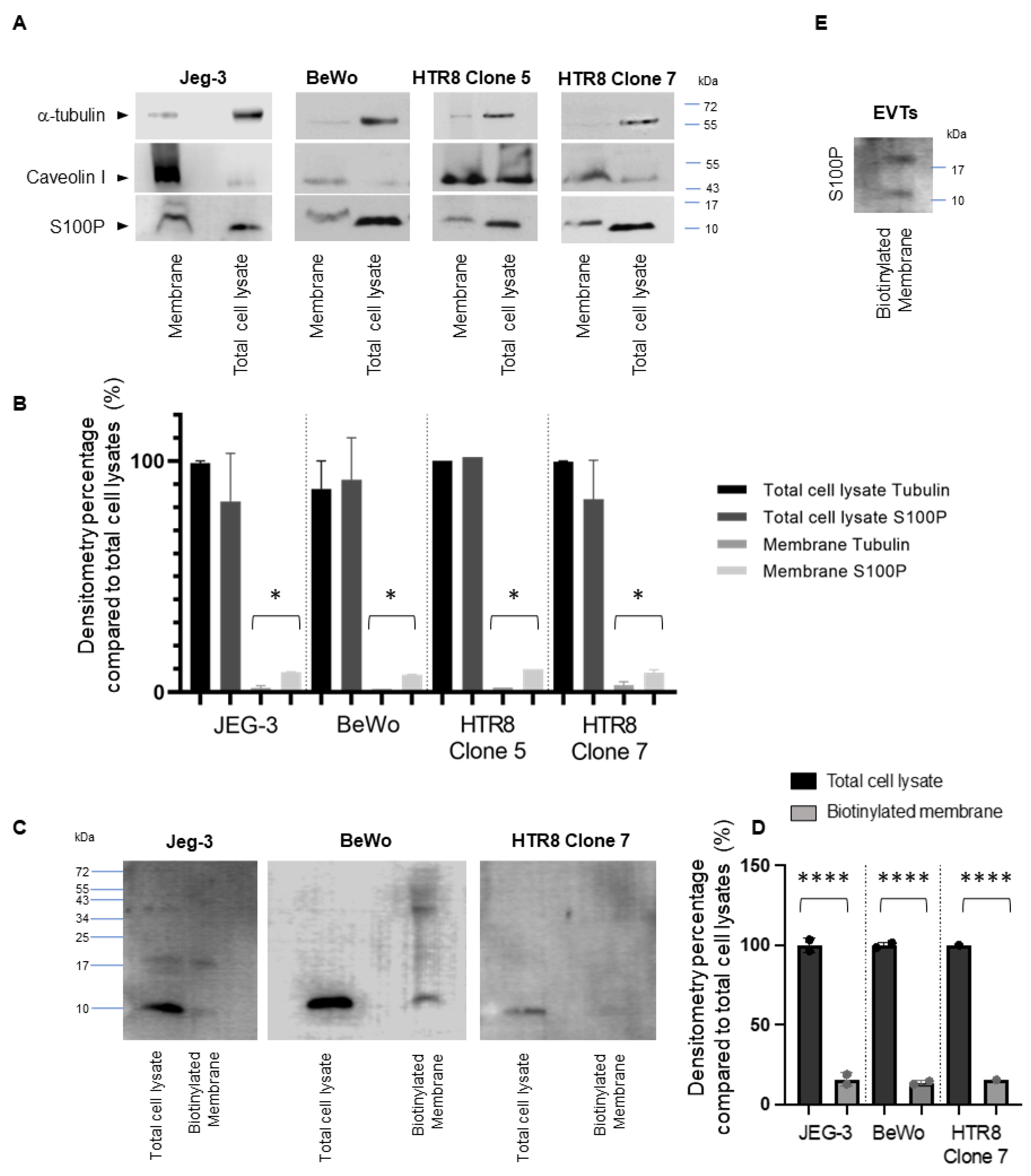 Biomolecules 13 01231 g003 Biomolecules 13 01231 g003