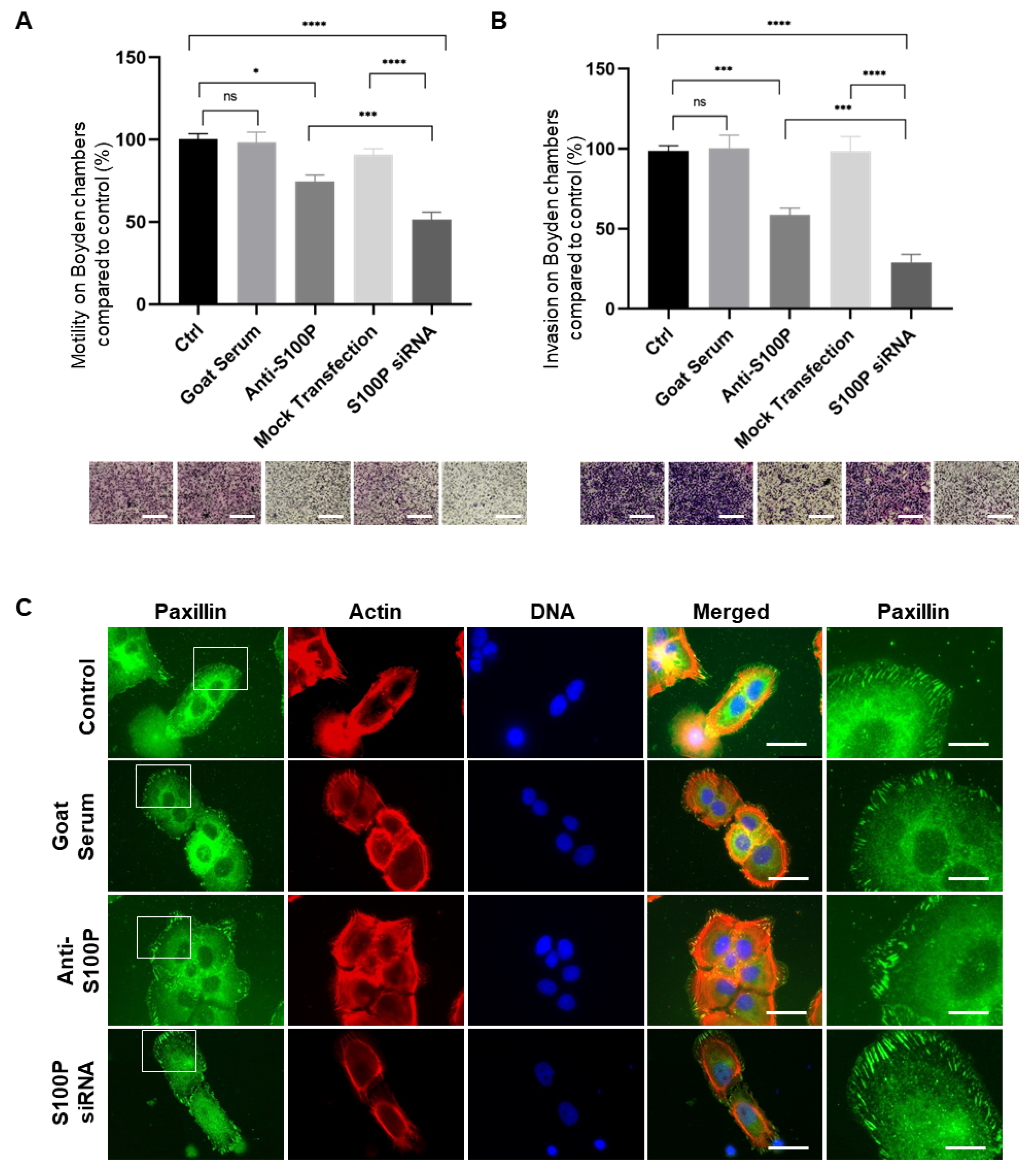Biomolecules 13 01231 g004 Biomolecules 13 01231 g004