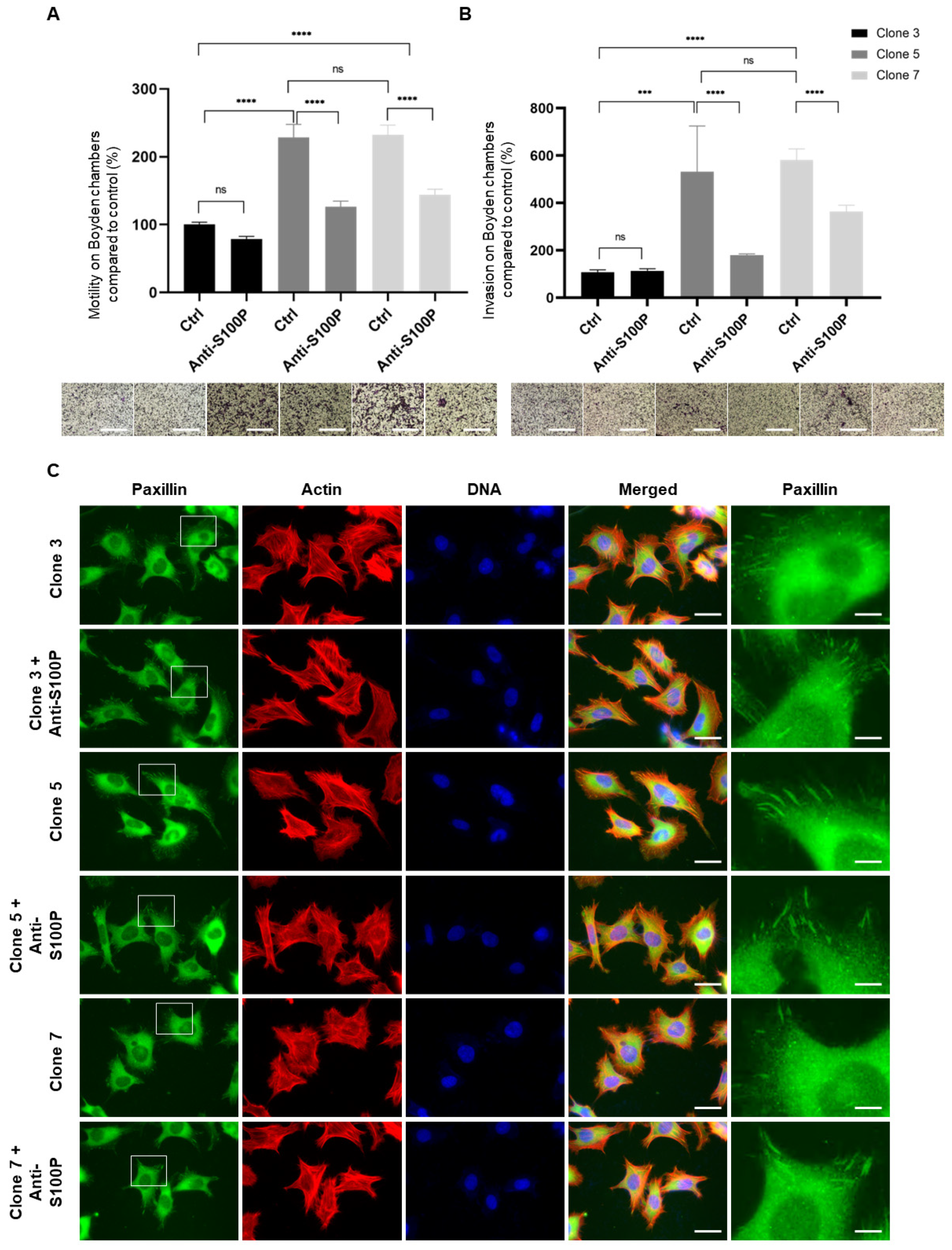 Biomolecules 13 01231 g005 Biomolecules 13 01231 g005