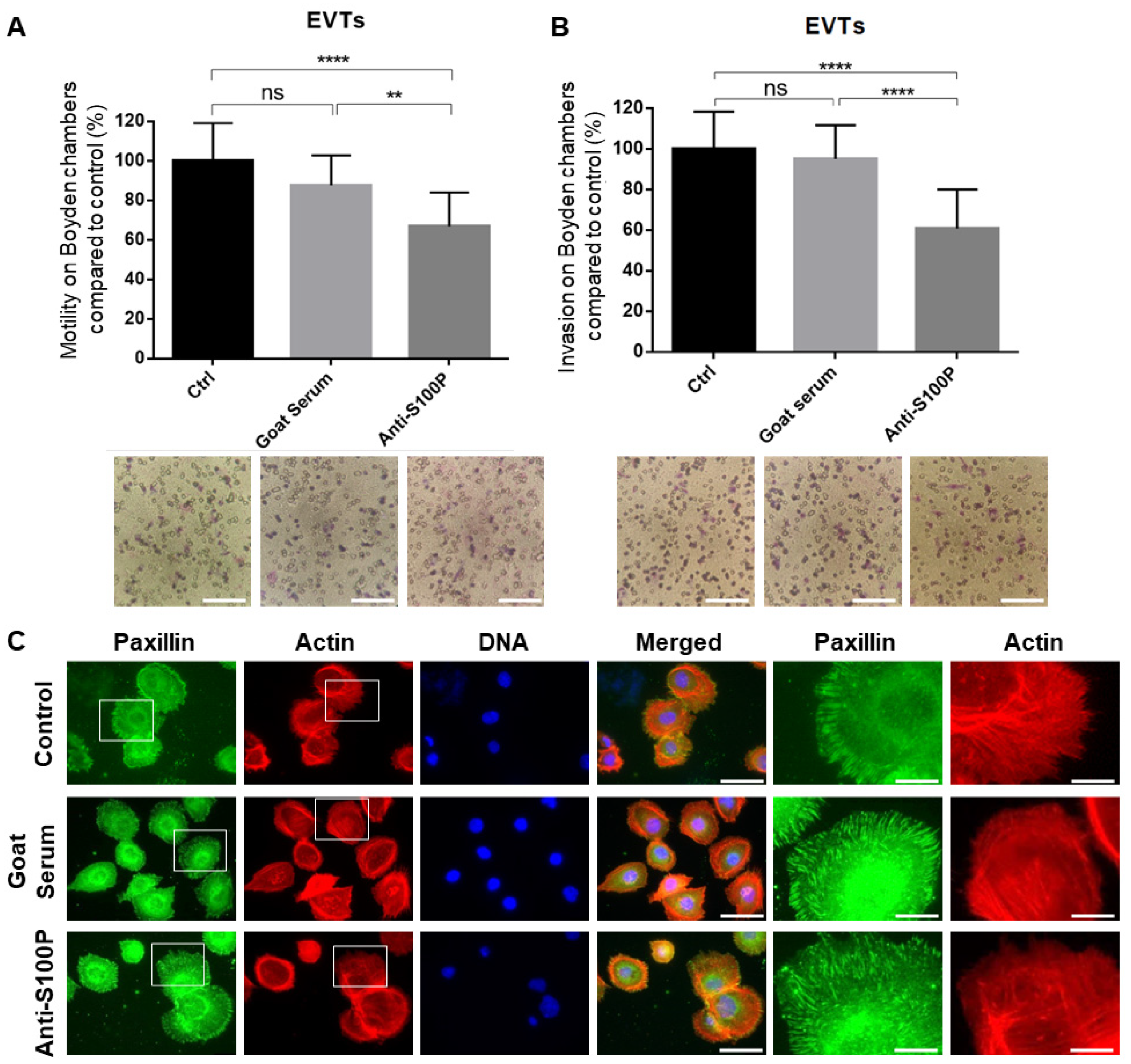 Biomolecules 13 01231 g006 Biomolecules 13 01231 g006