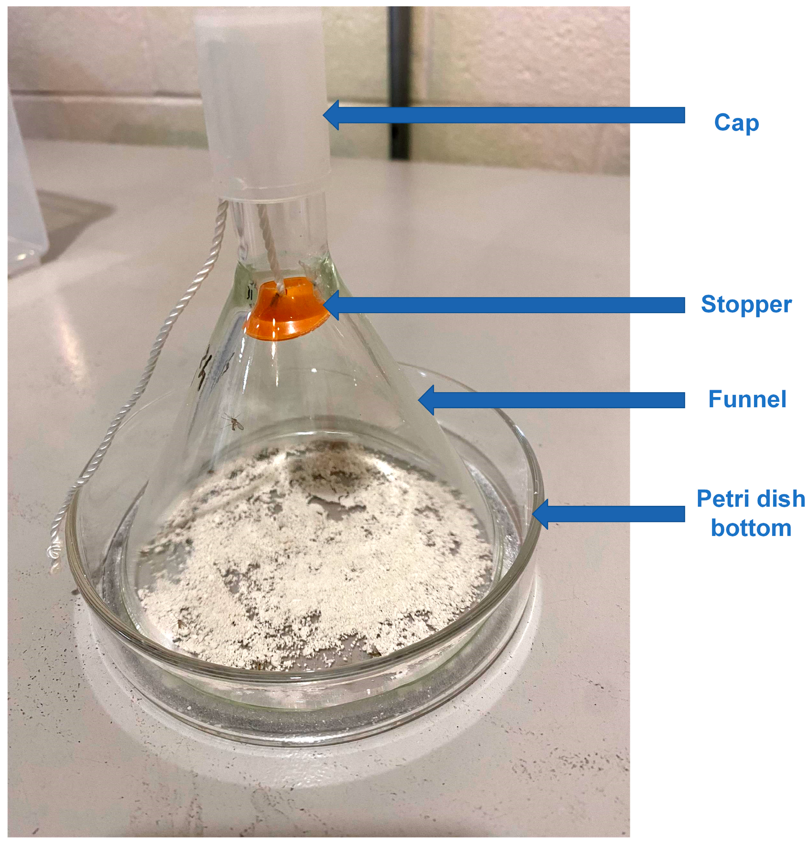 Biomolecules 13 01235 g001