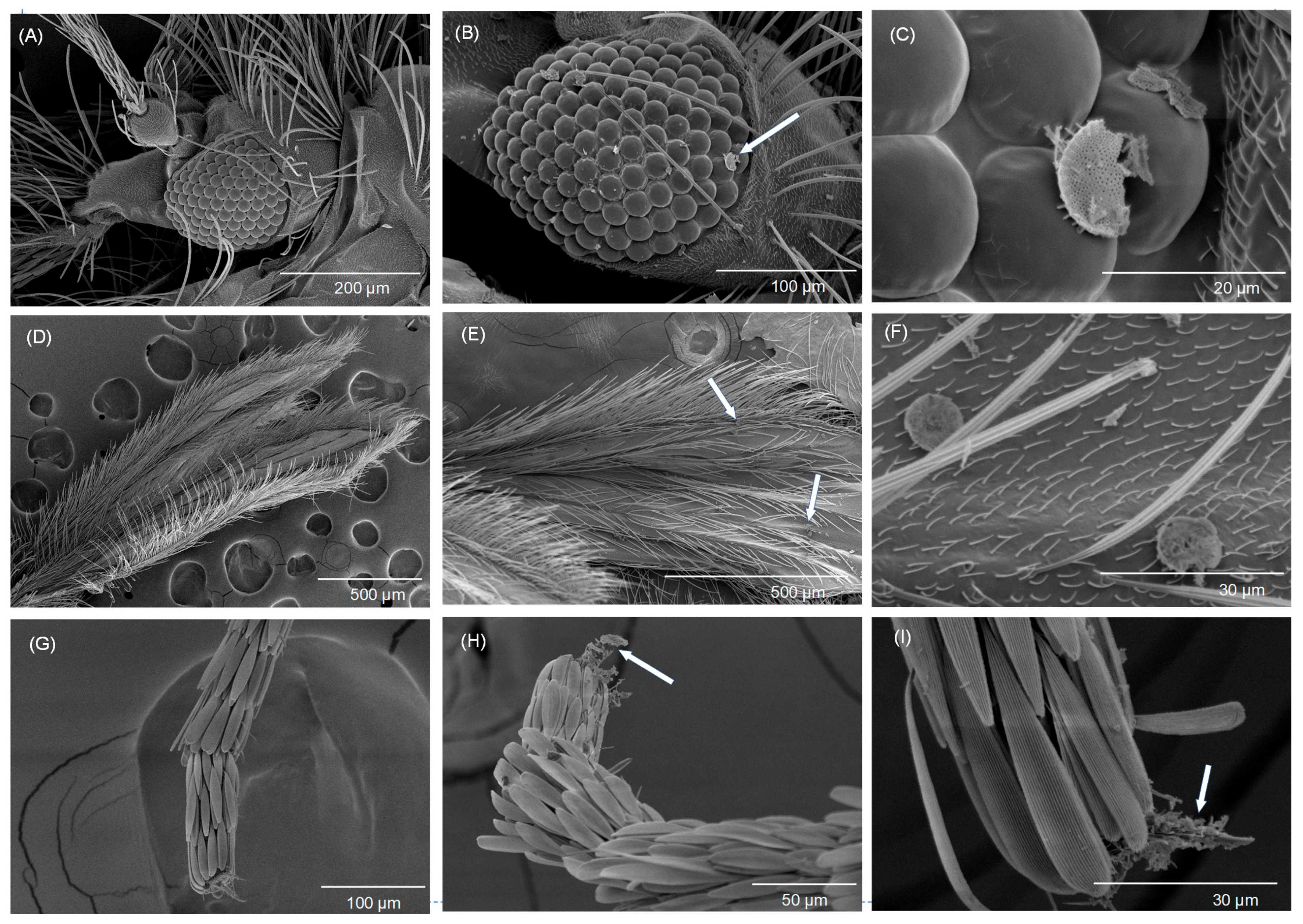 Biomolecules 13 01235 g005