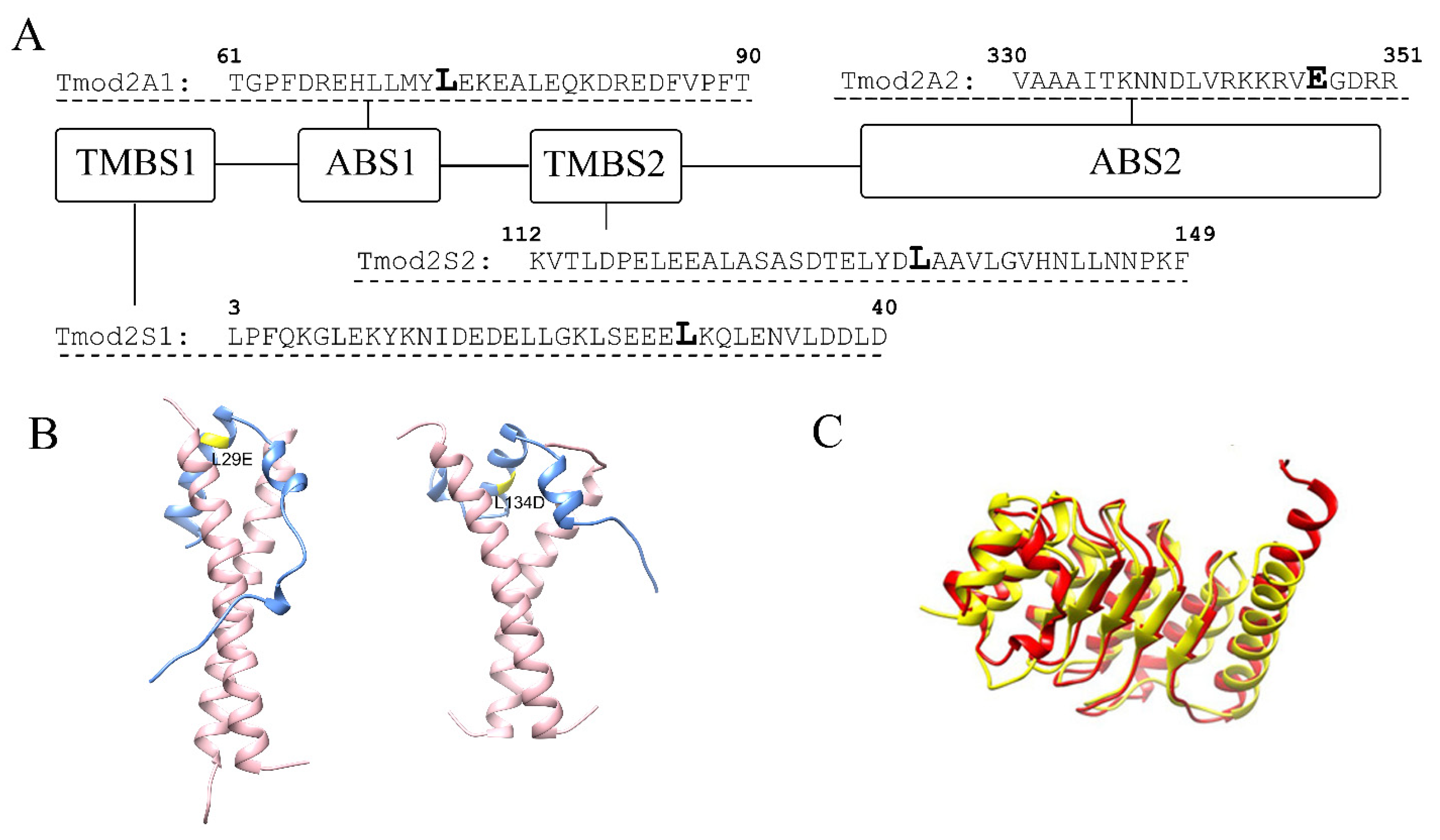 Biomolecules 13 01237 g001