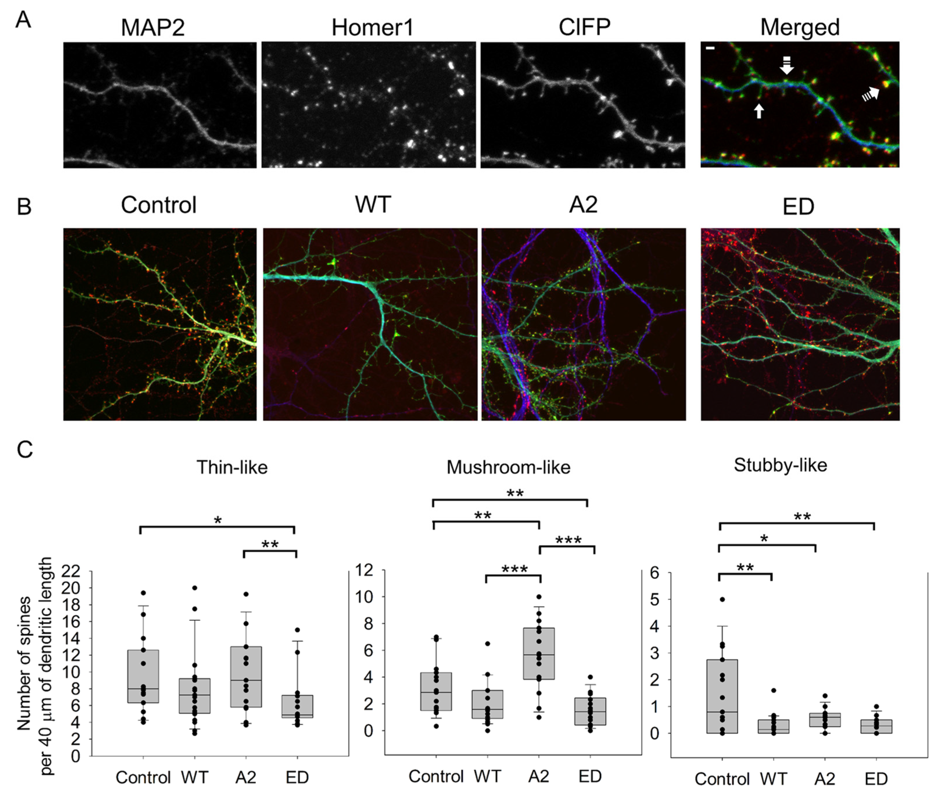 Biomolecules 13 01237 g002