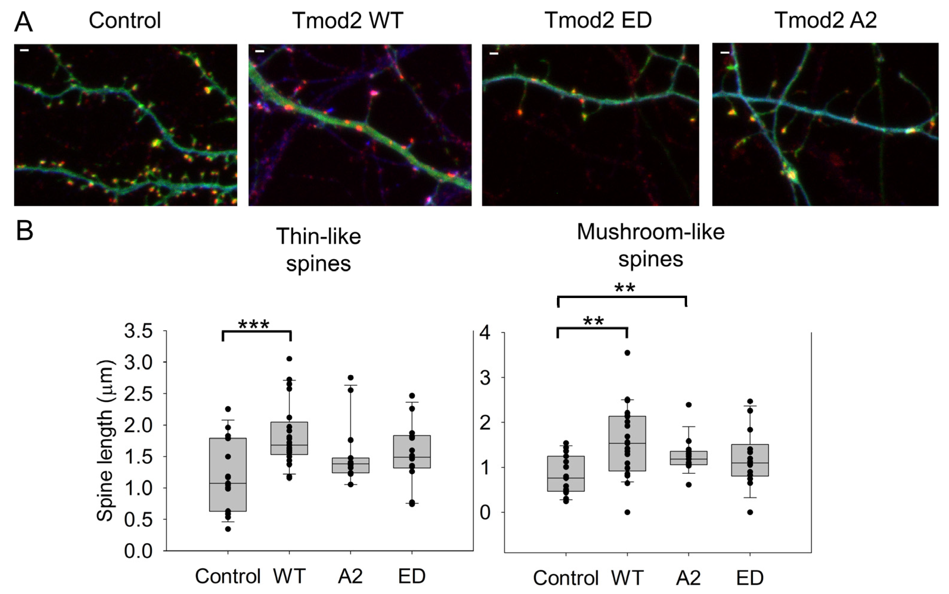 Biomolecules 13 01237 g003