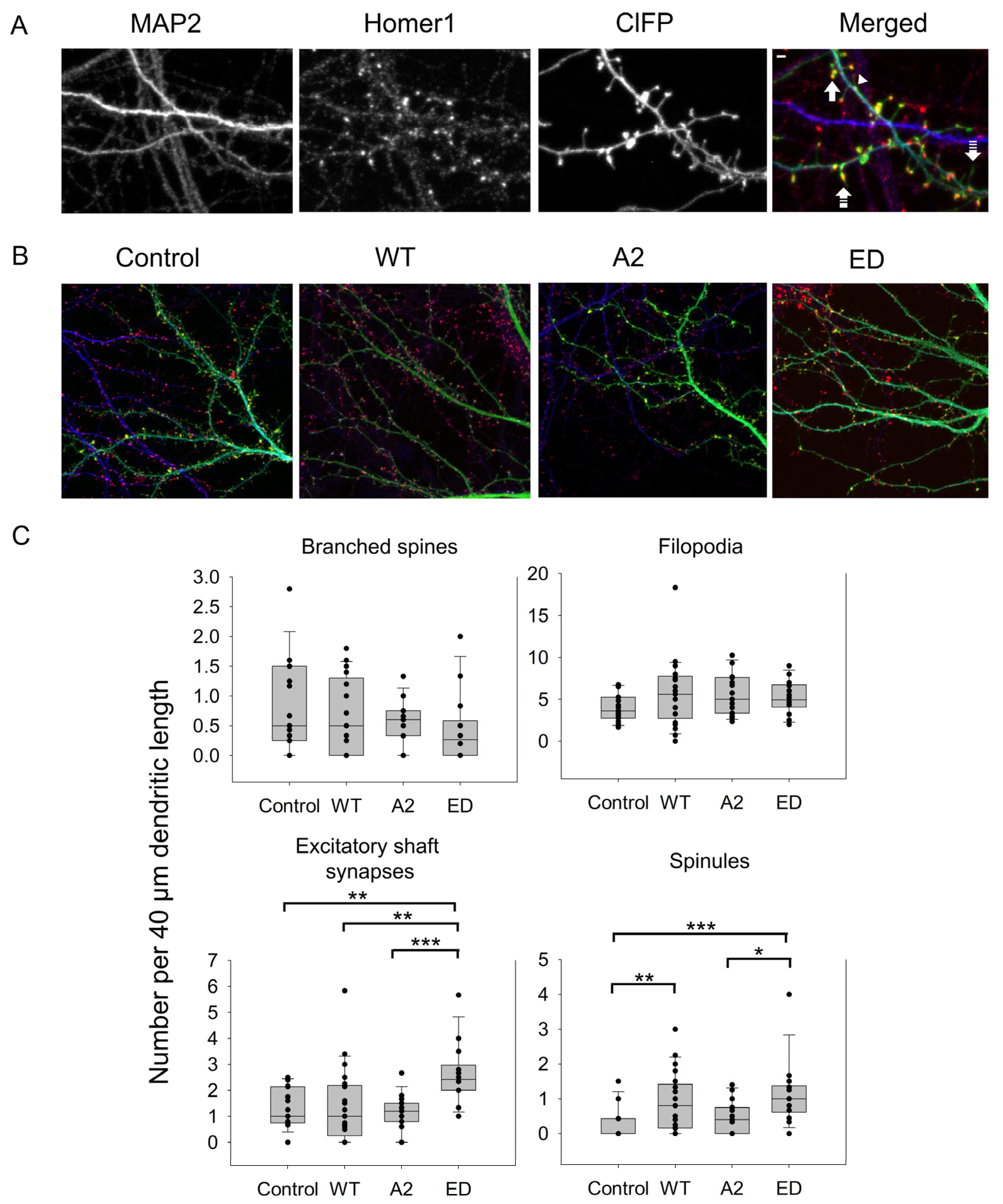 Biomolecules 13 01237 g004