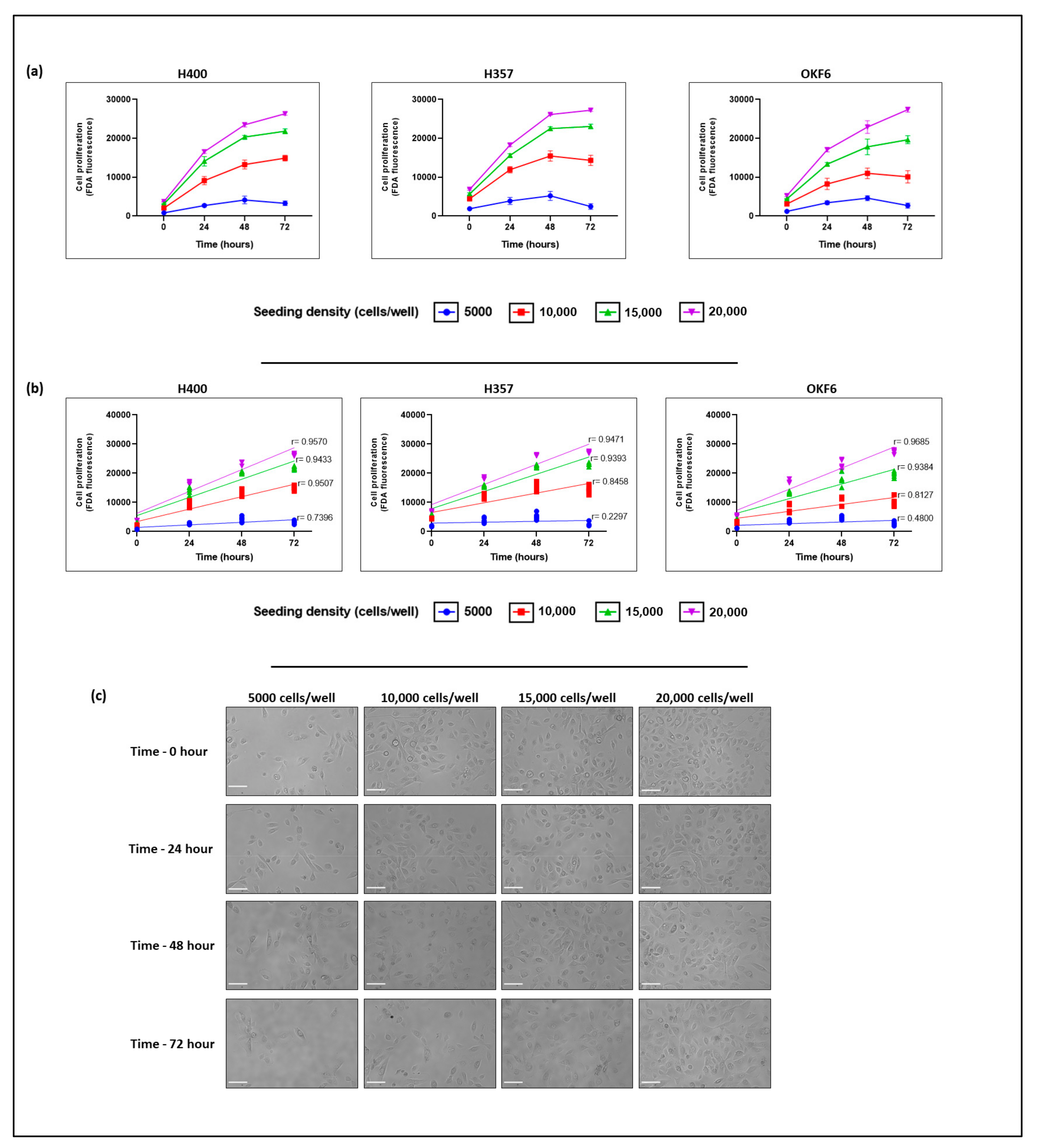Biomolecules 13 01239 g001 Biomolecules 13 01239 g001