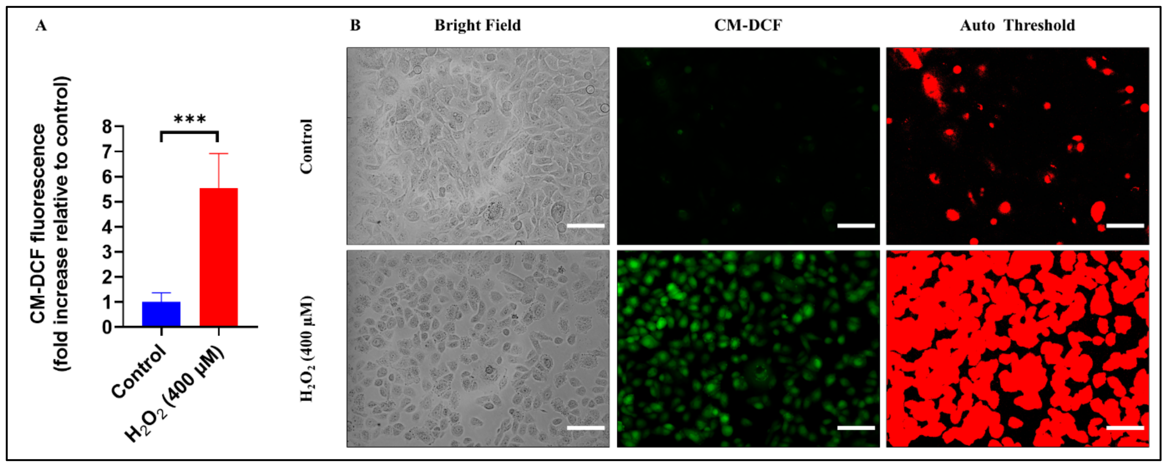 Biomolecules 13 01239 g006 Biomolecules 13 01239 g006