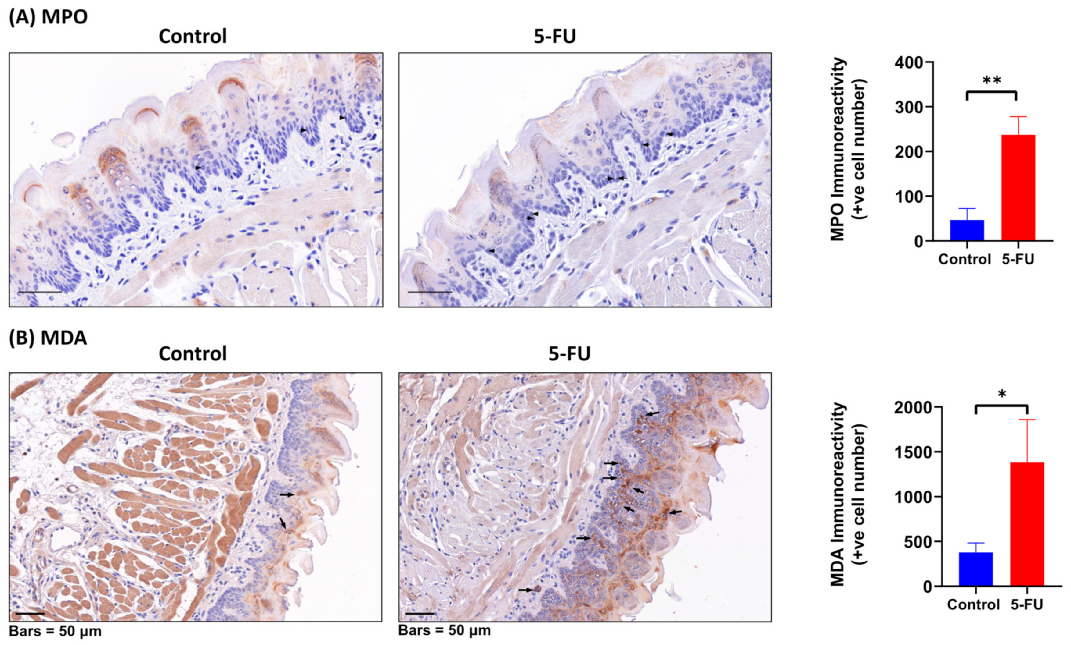 Biomolecules 13 01239 g007 Biomolecules 13 01239 g007