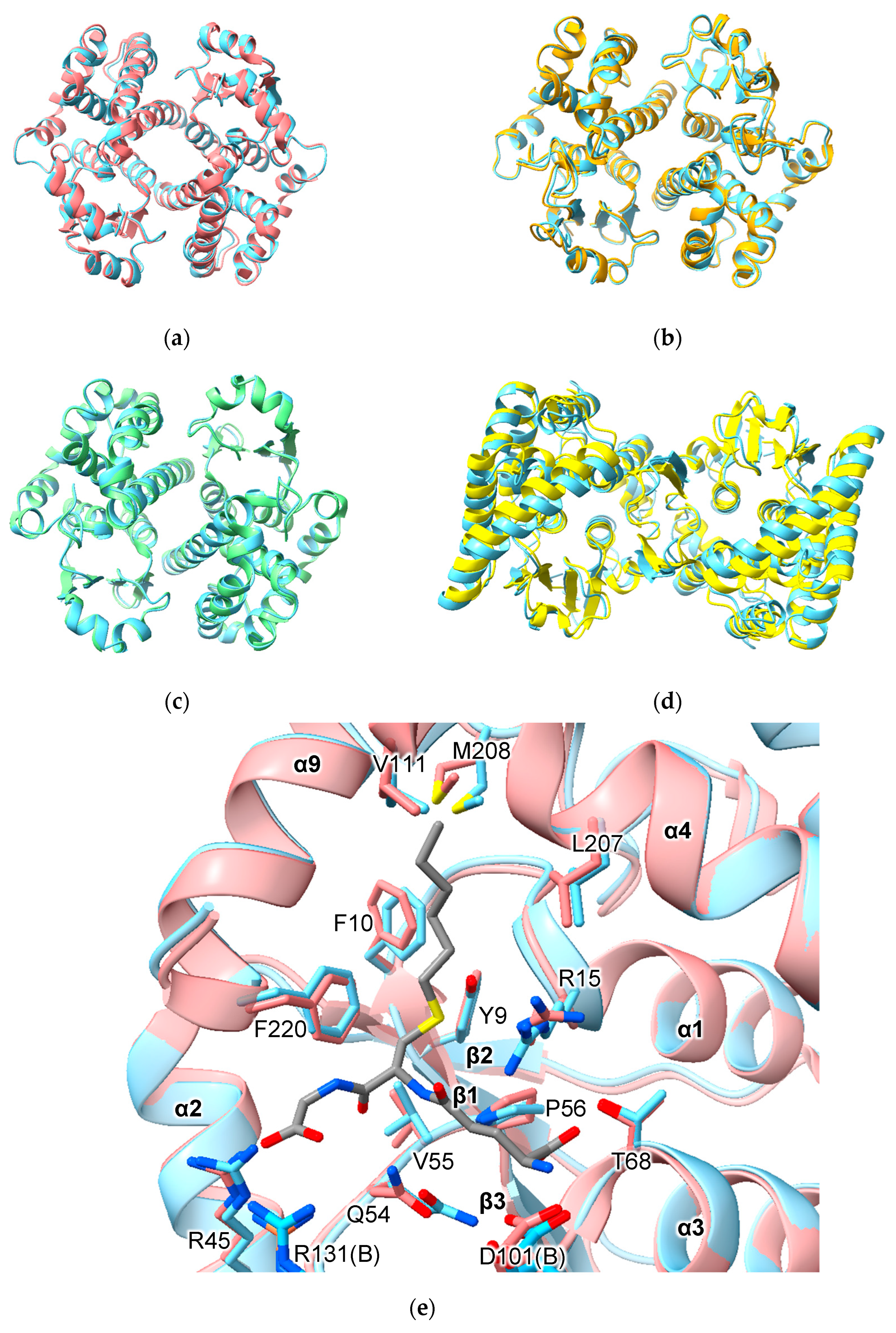 Biomolecules 13 01240 g002 Biomolecules 13 01240 g002