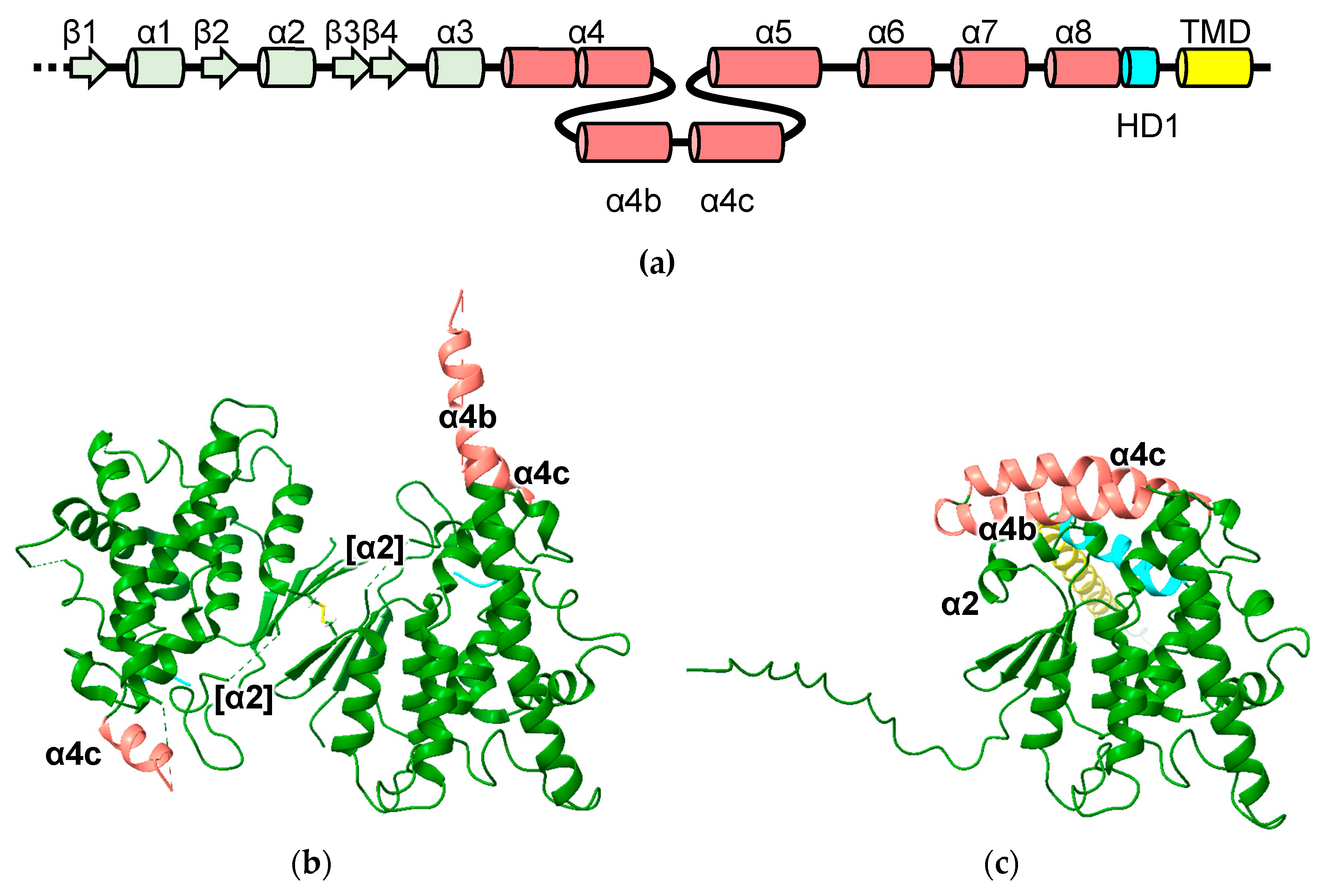 Biomolecules 13 01240 g005 Biomolecules 13 01240 g005