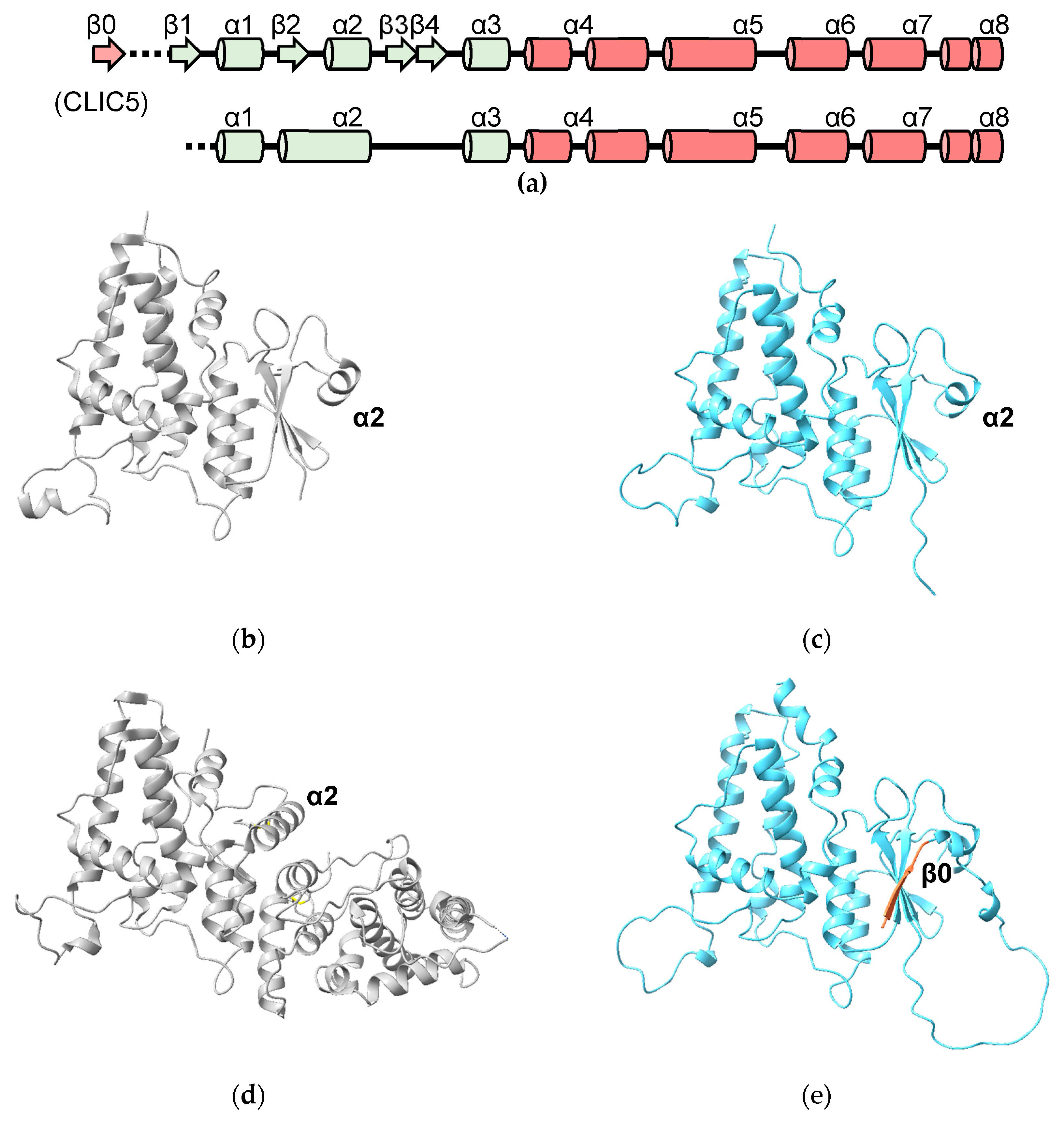 Biomolecules 13 01240 g006 Biomolecules 13 01240 g006