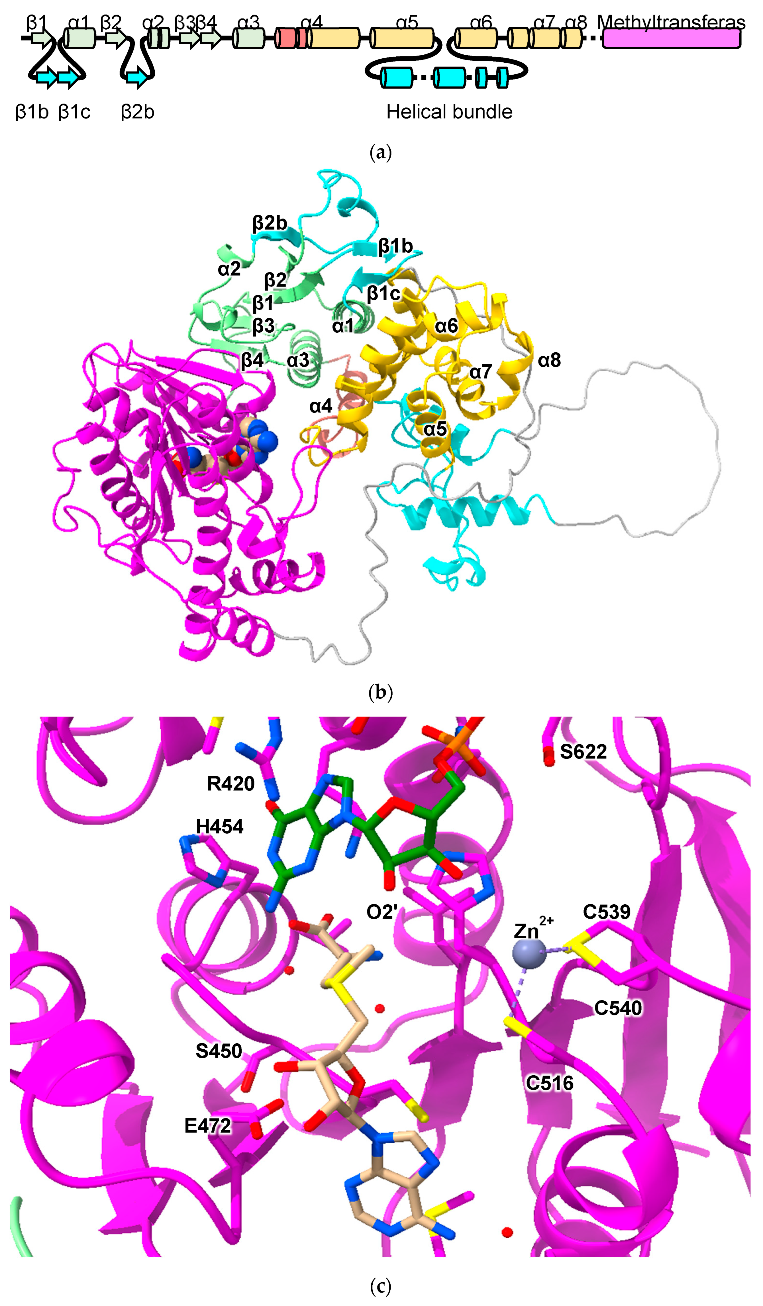 Biomolecules 13 01240 g008 Biomolecules 13 01240 g008
