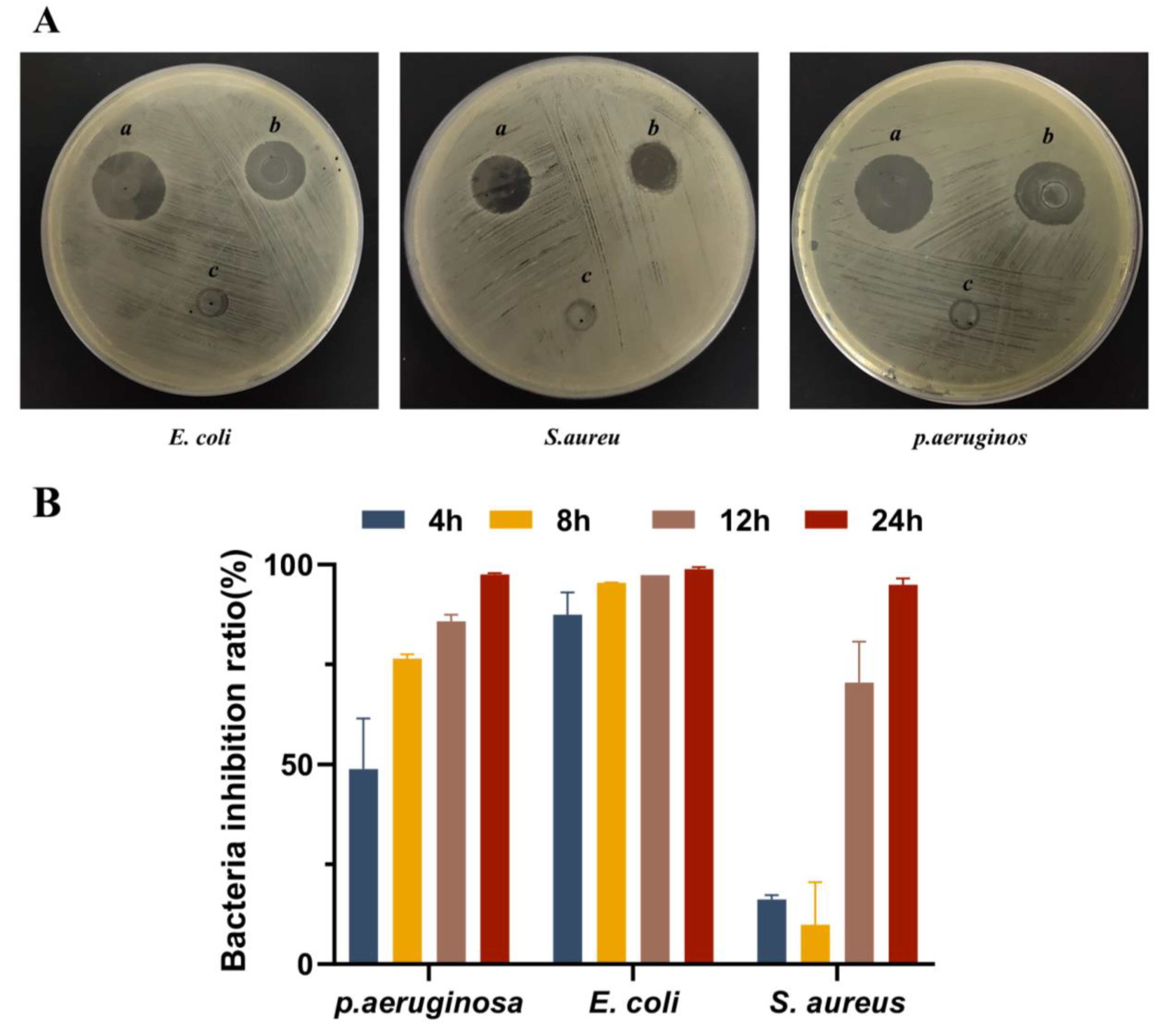 Biomolecules 13 01244 g005