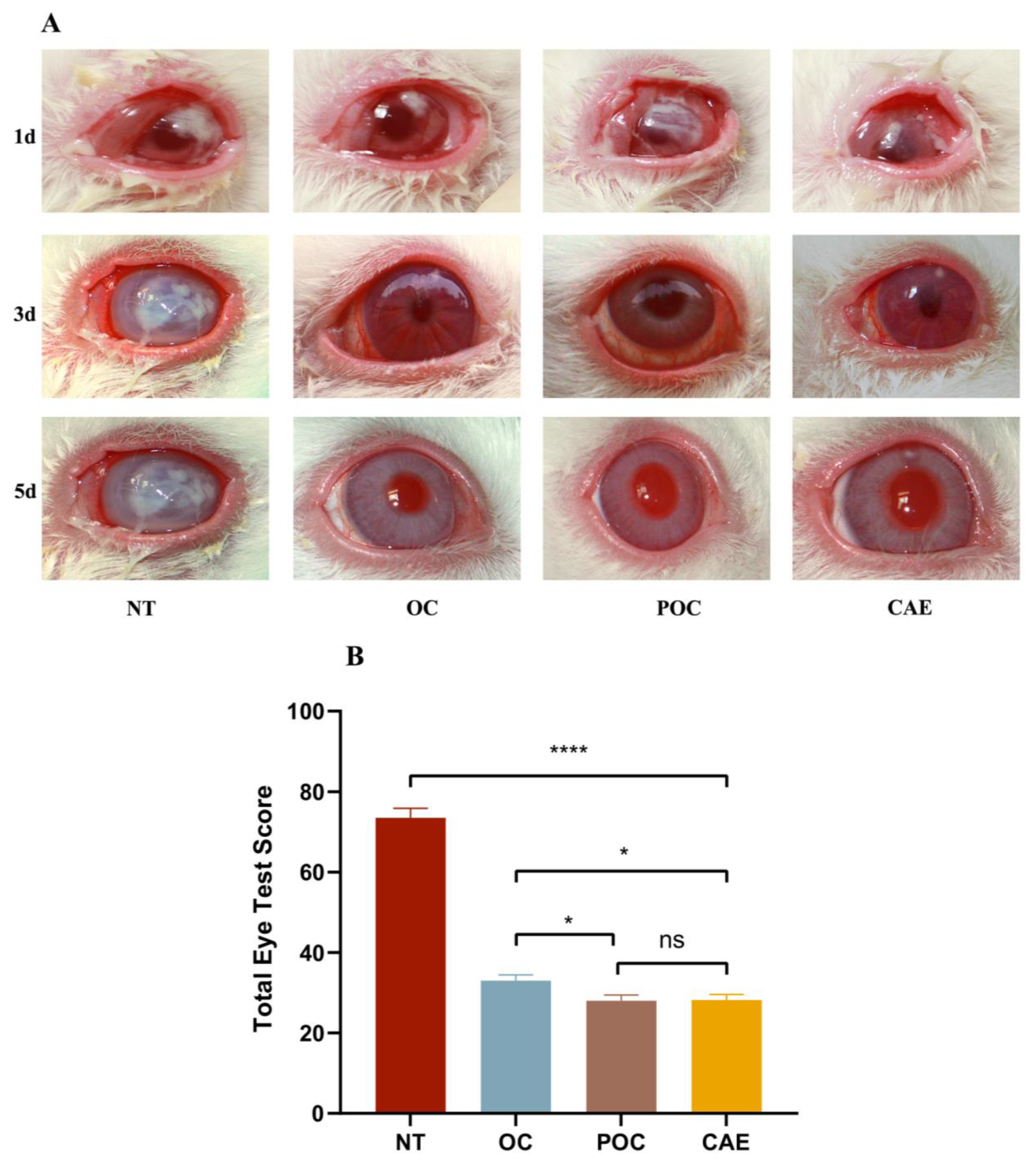 Biomolecules 13 01244 g007