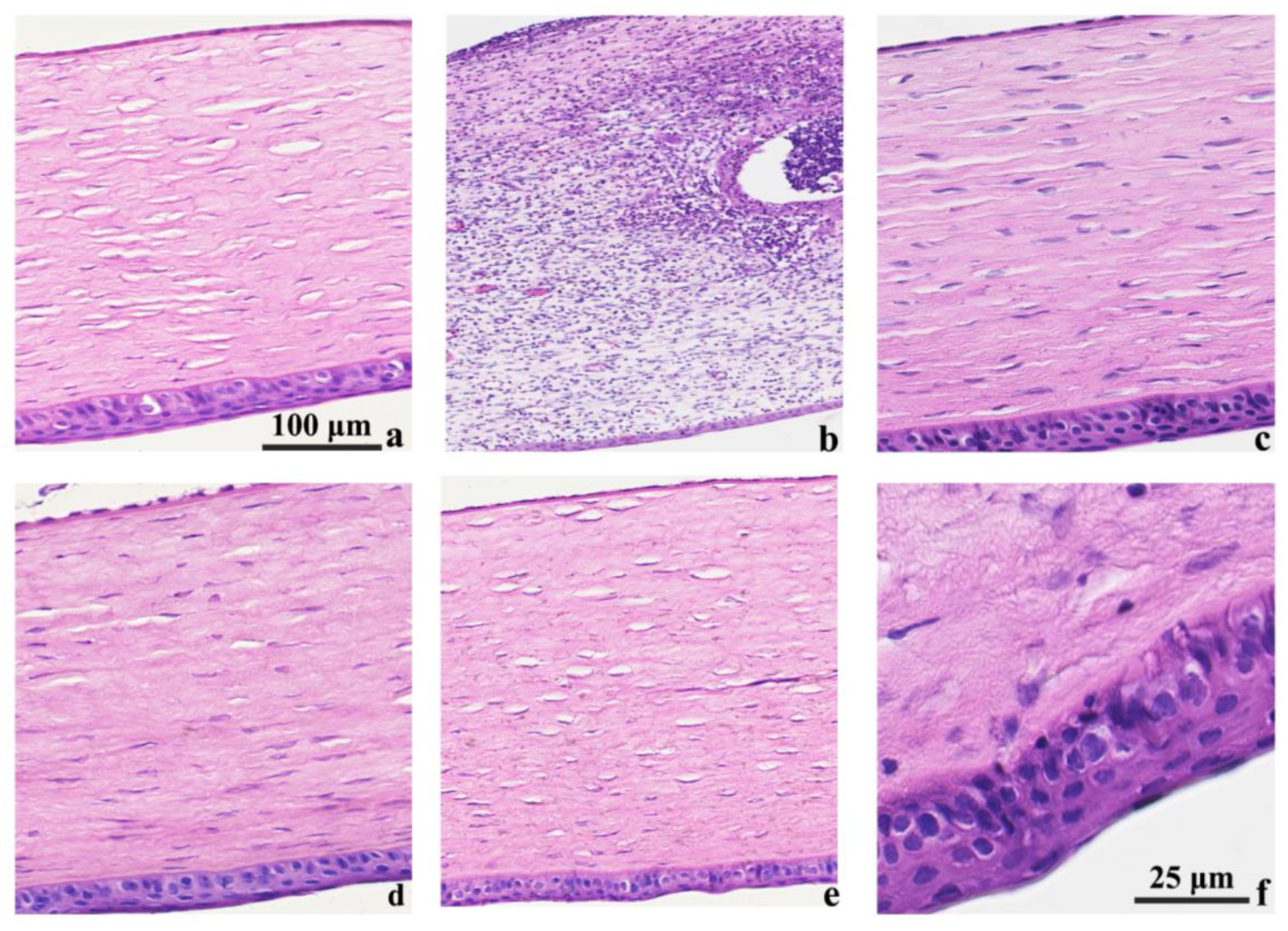 Biomolecules 13 01244 g008