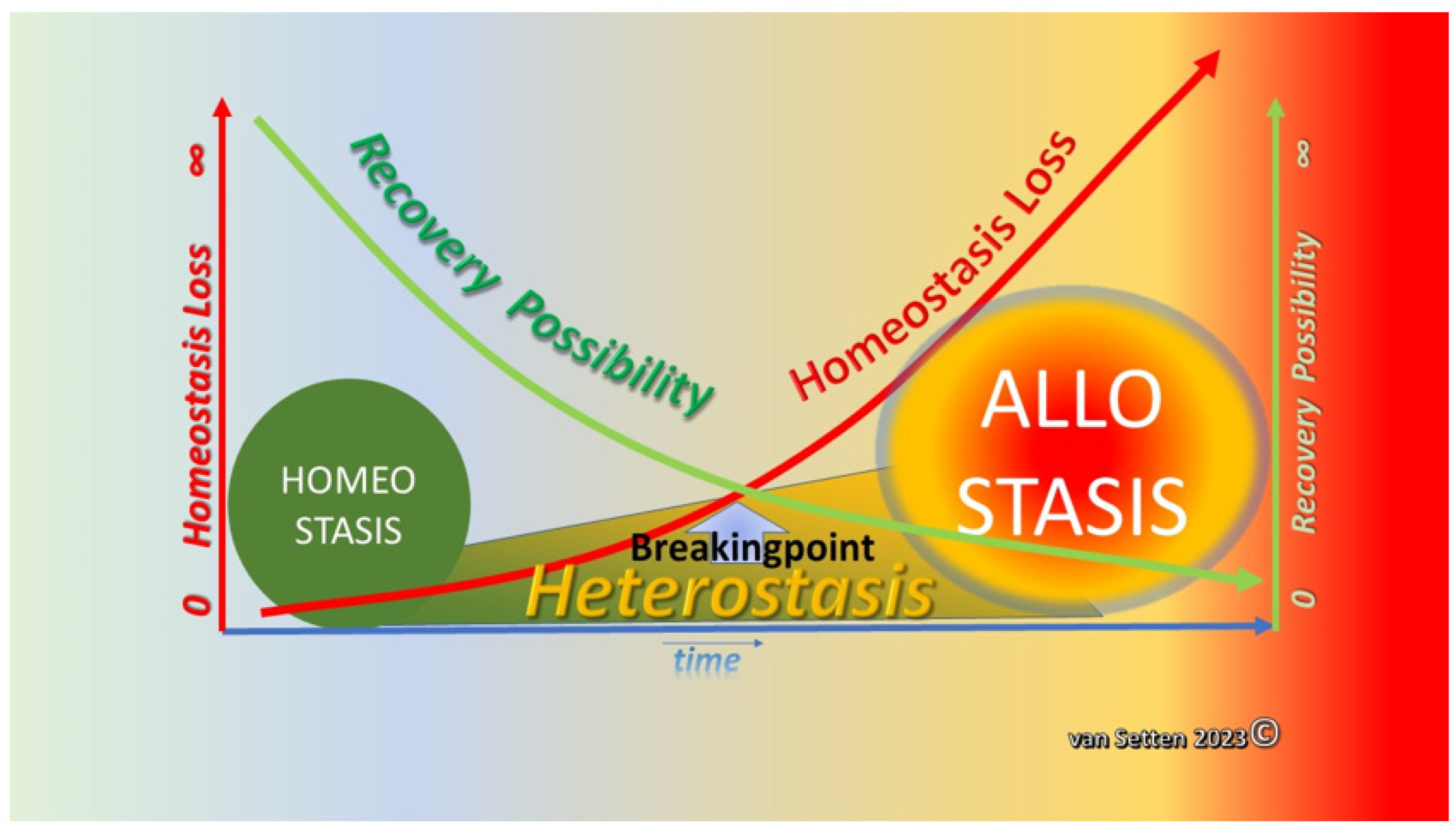 Frontiers  Cellular and Molecular Mechanisms of REM Sleep Homeostatic  Drive: A Plausible Component for Behavioral Plasticity