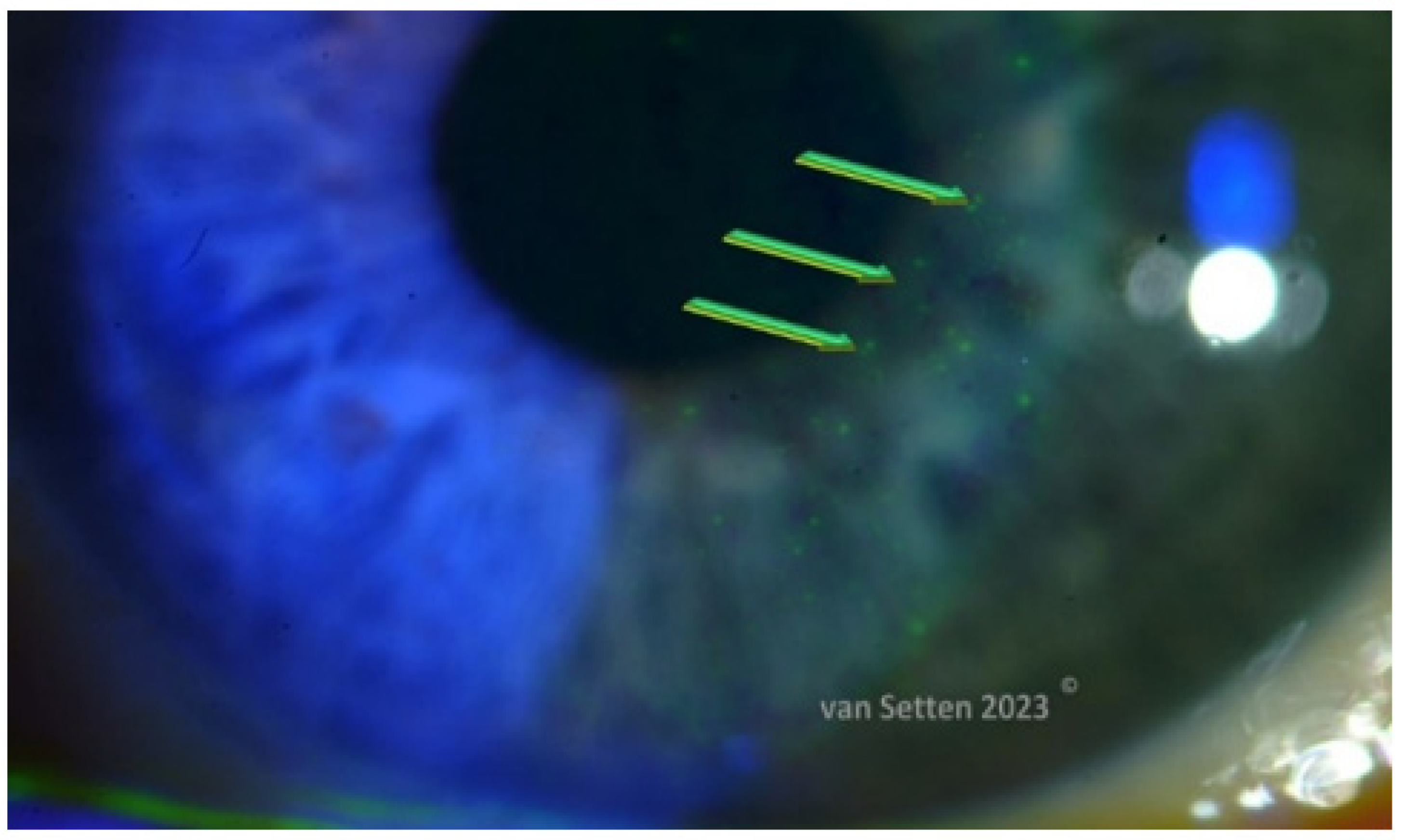 Biomolecules 13 01246 g004 Biomolecules 13 01246 g004