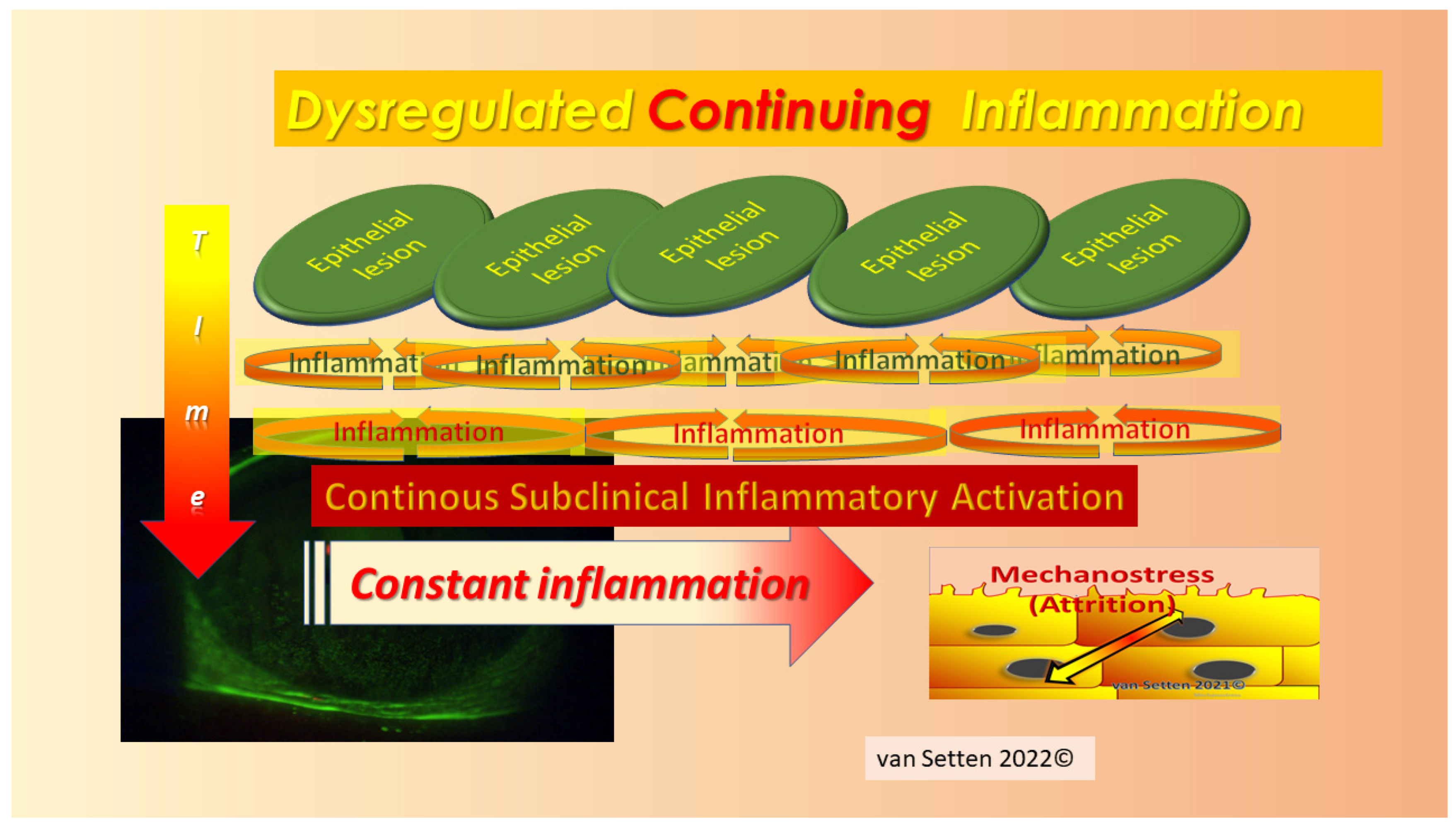 Biomolecules 13 01246 g008 Biomolecules 13 01246 g008