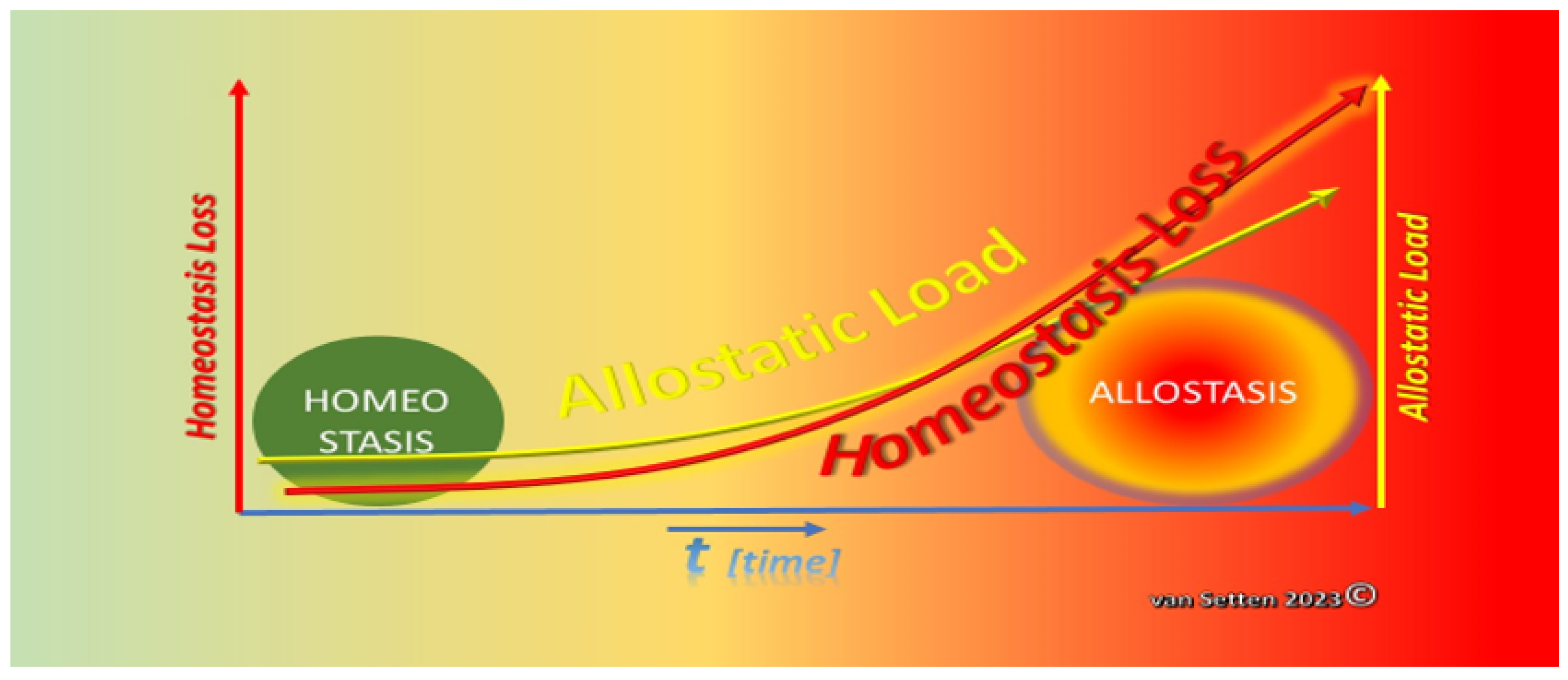 Biomolecules Free FullText Ocular Surface Allostasis—When