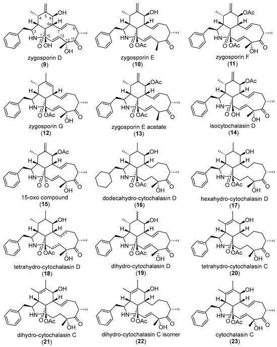 ℳ﻿. Modification of Lithium‐Rich Manganese Oxide Materials