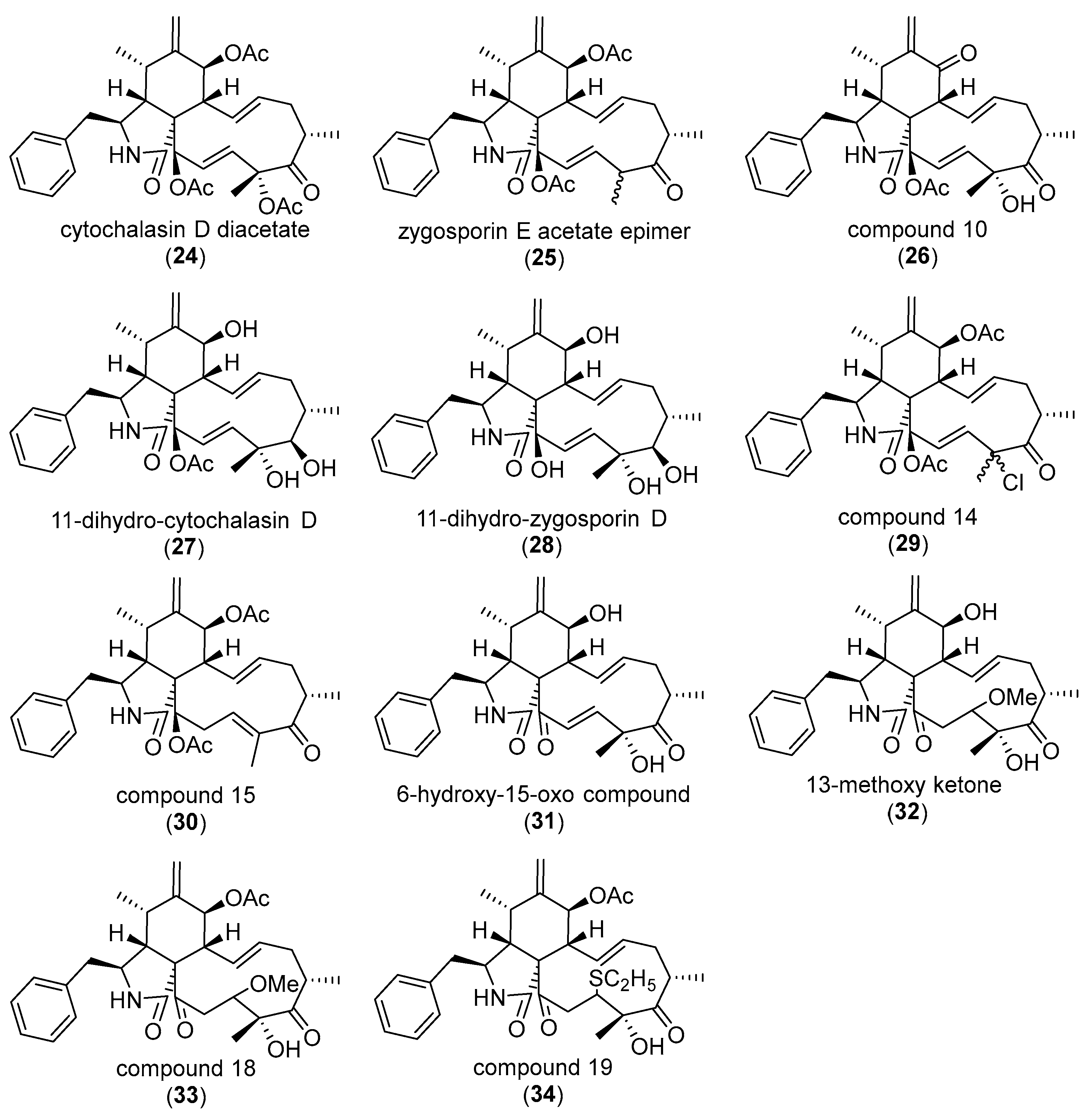 Biomolecules Free FullText Cytochalasans and Their Impact on Actin
