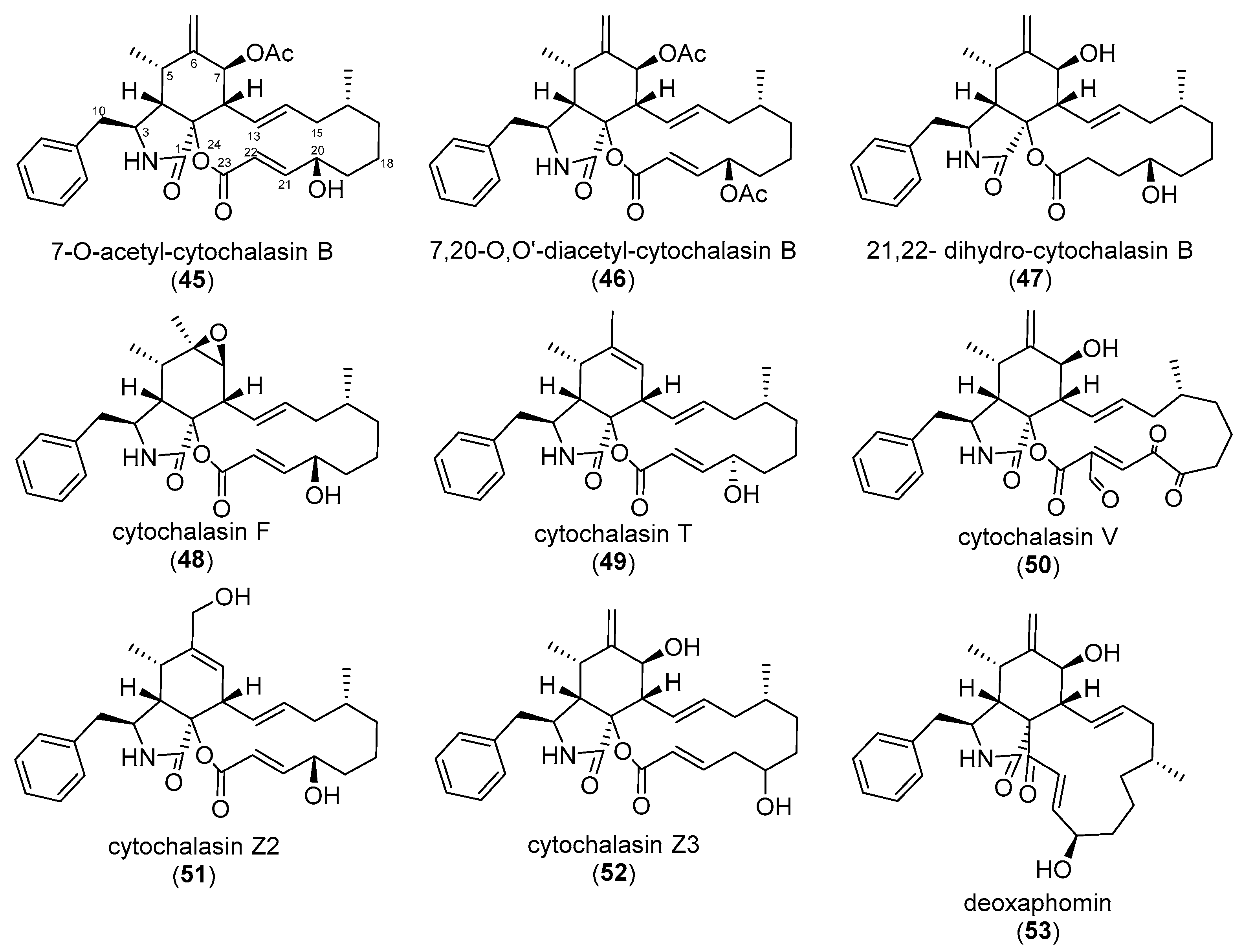Biomolecules 13 01247 g004 Biomolecules 13 01247 g004