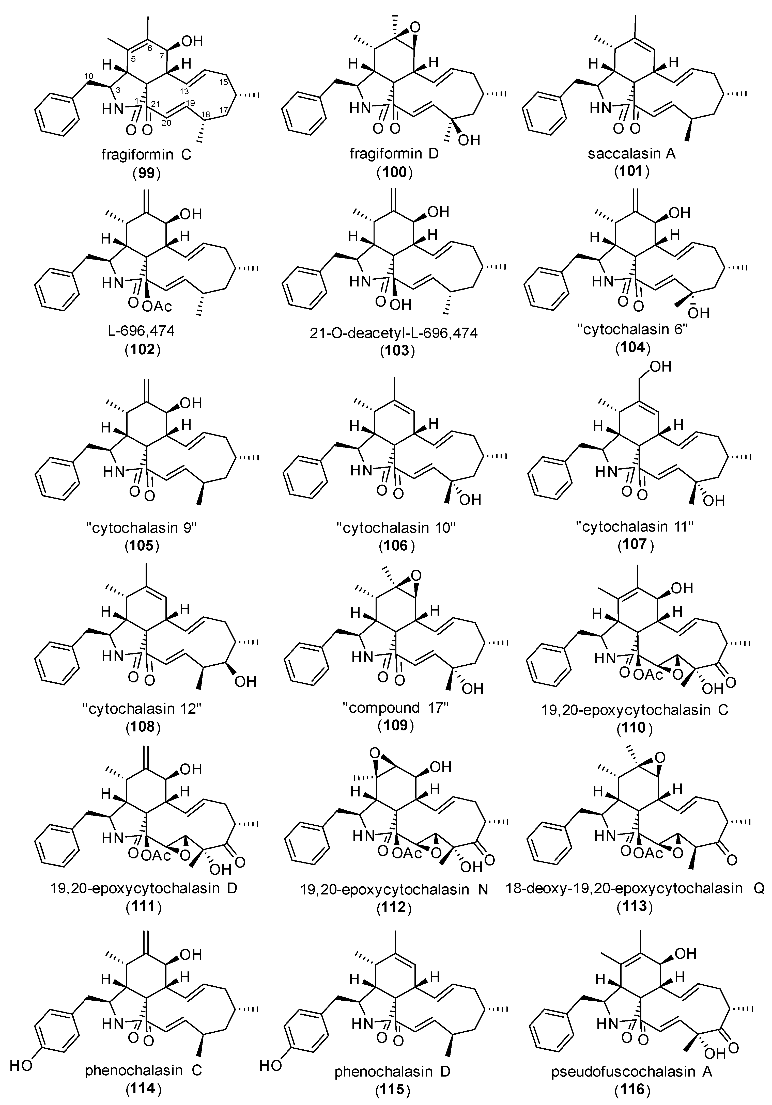 Biomolecules 13 01247 g009 Biomolecules 13 01247 g009